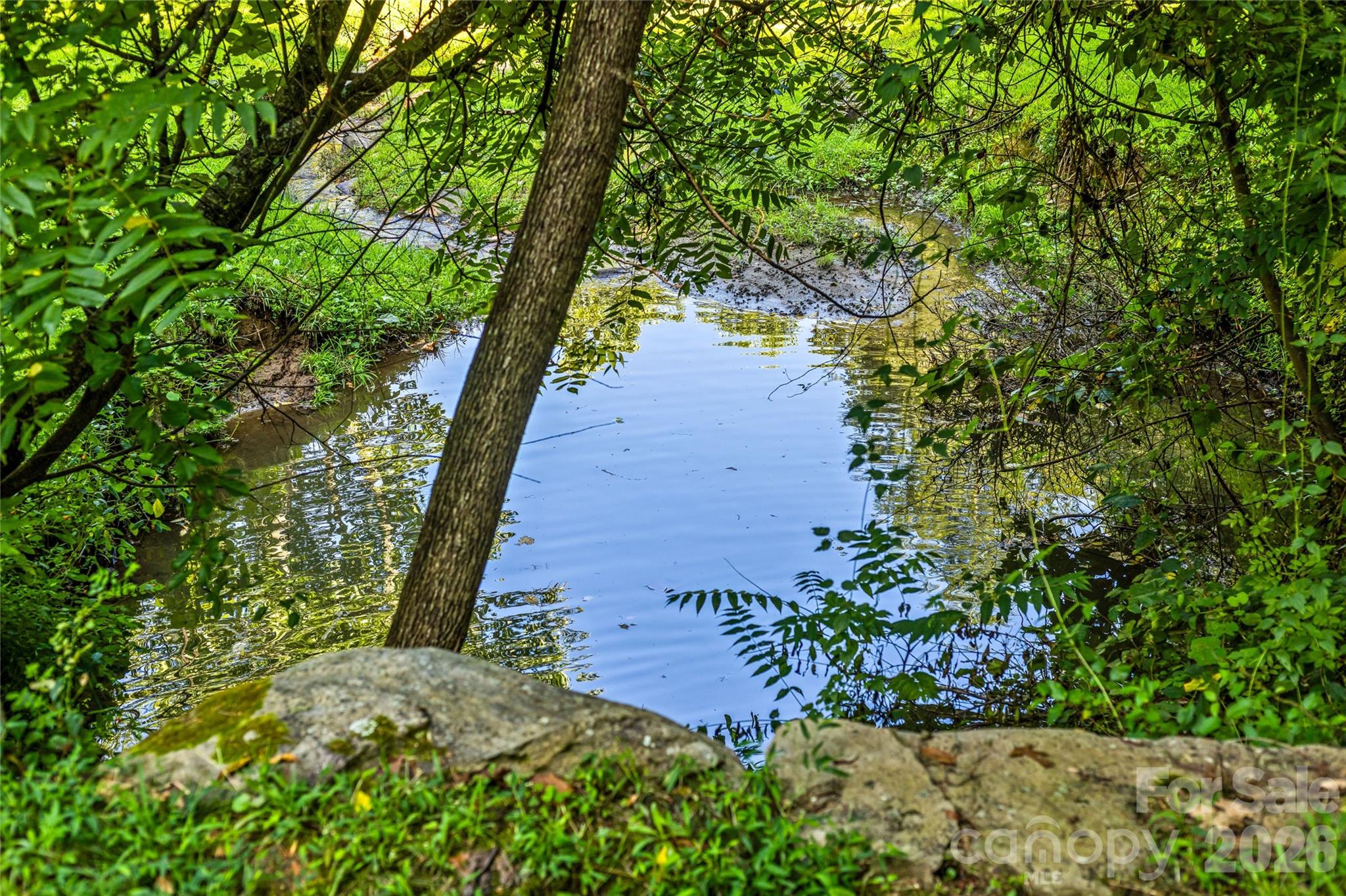 Peaceful creekside setting - 820 Merrills Cove Road, Asheville