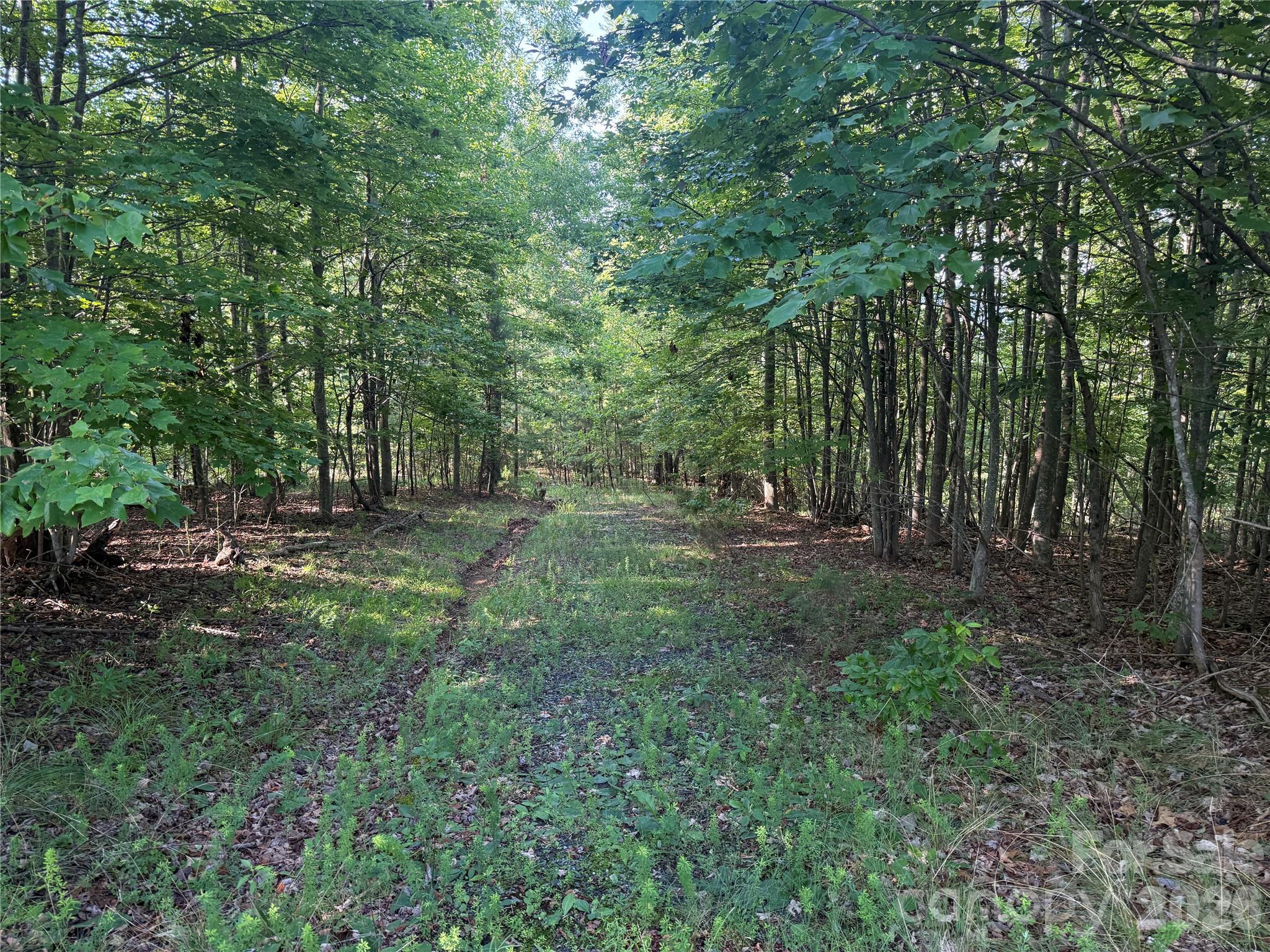 Private Driveway - V/L Scenic Vista Drive, Nebo