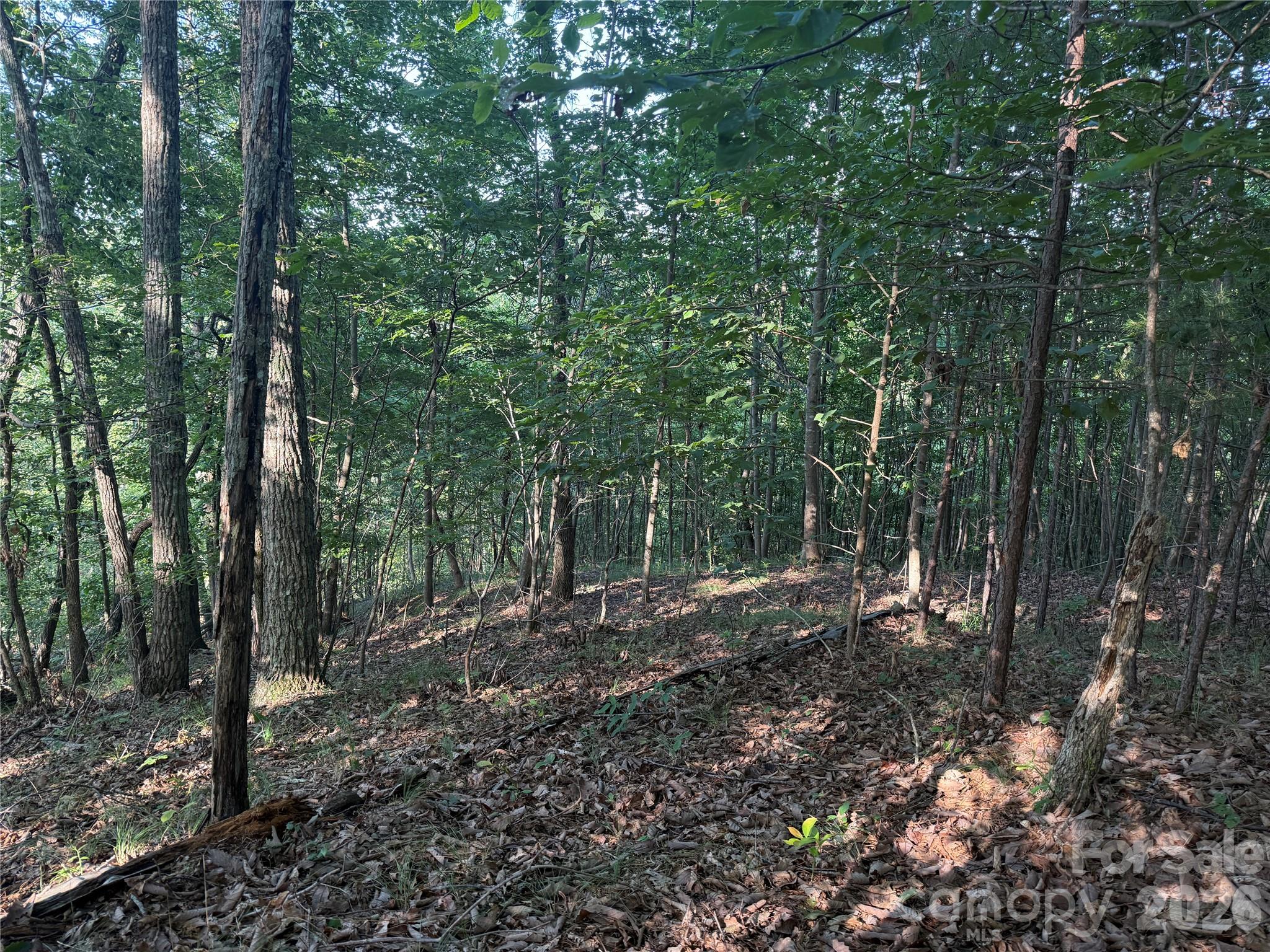 Lot at V/L Scenic Vista Drive, Nebo, photo 9 of 24