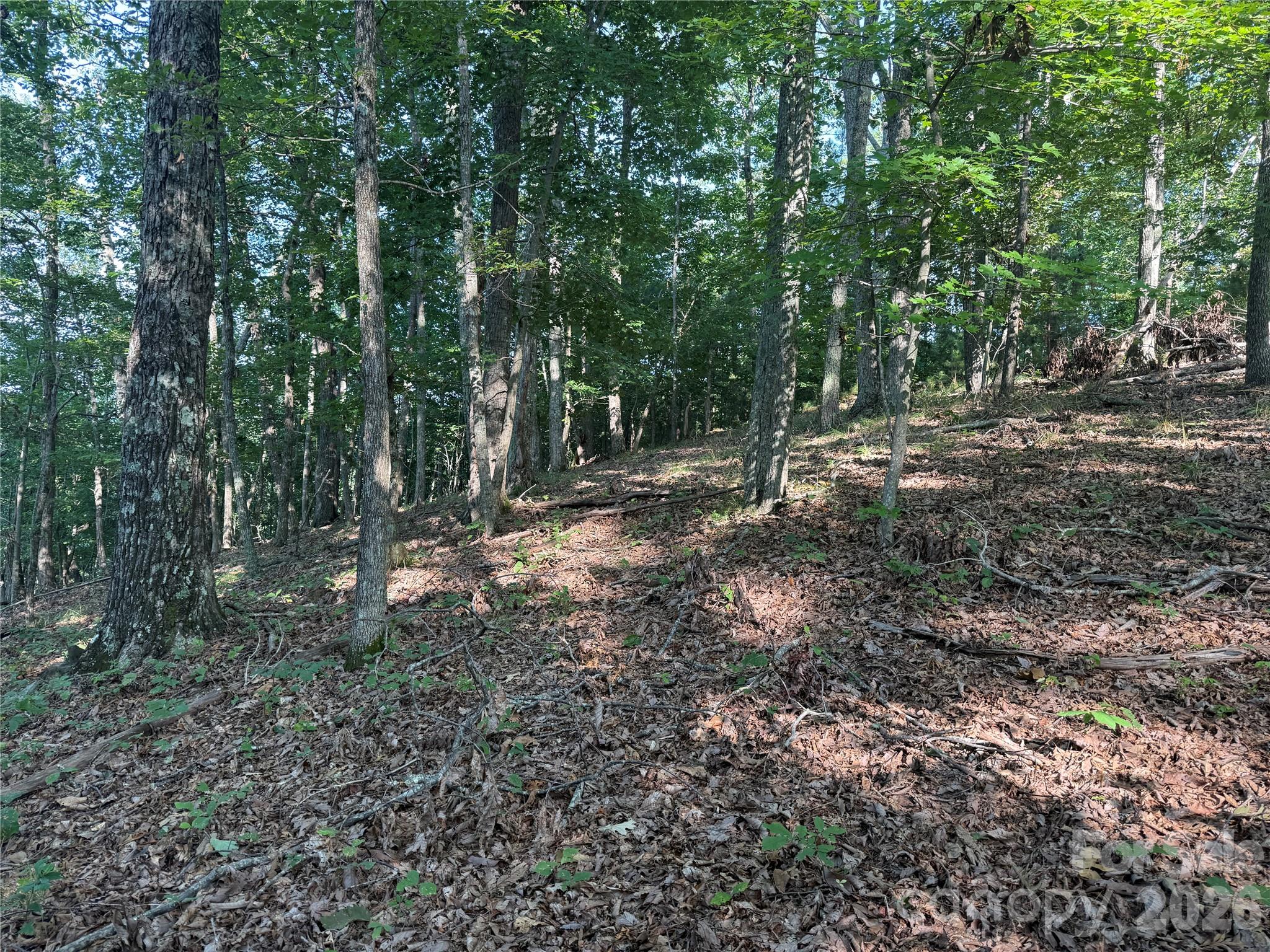 Lot at V/L Scenic Vista Drive, Nebo, photo 10 of 24