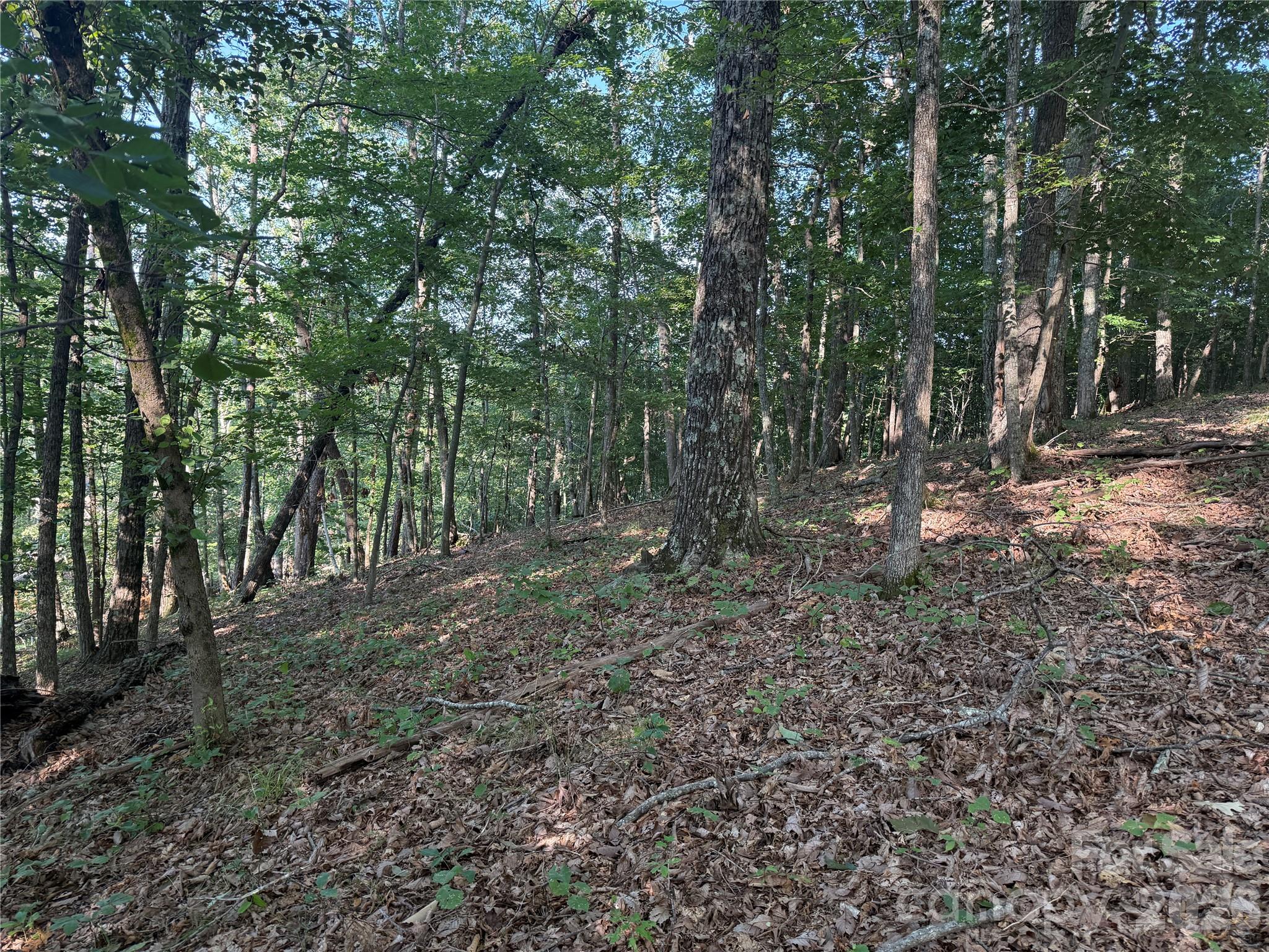 Lot at V/L Scenic Vista Drive, Nebo, photo 11 of 24