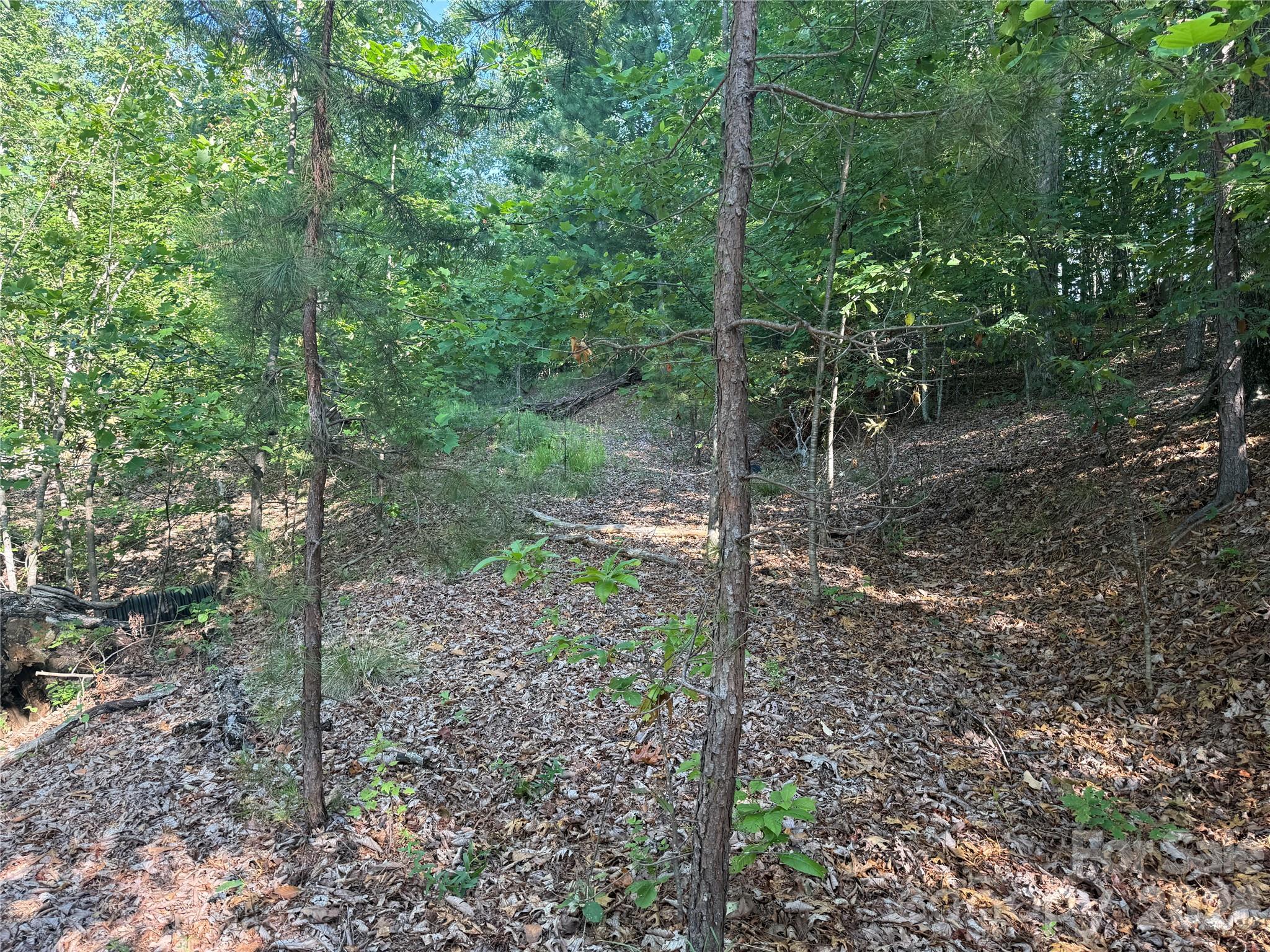 Lot at V/L Scenic Vista Drive, Nebo, photo 12 of 24