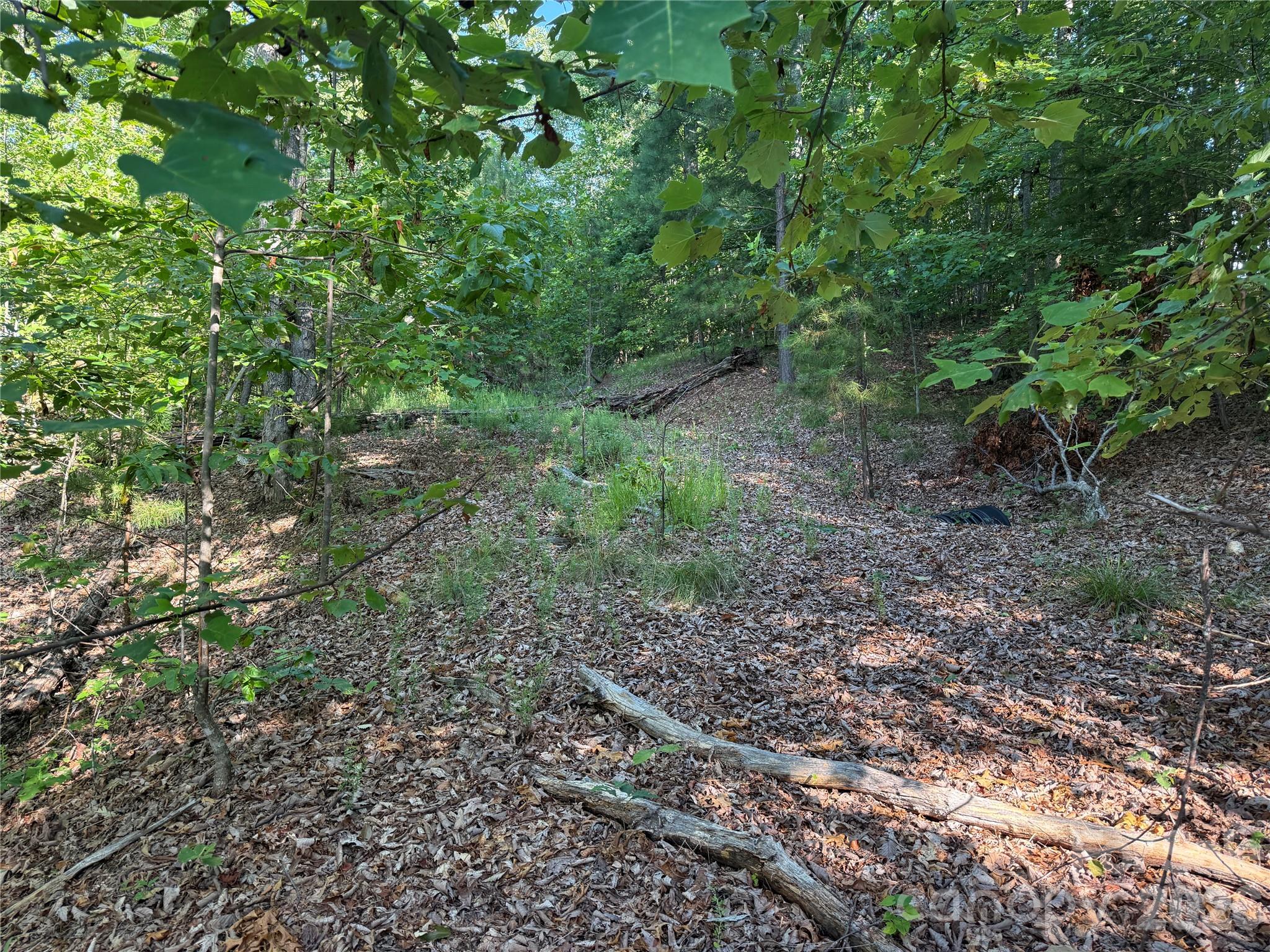 Lot at V/L Scenic Vista Drive, Nebo, photo 13 of 24