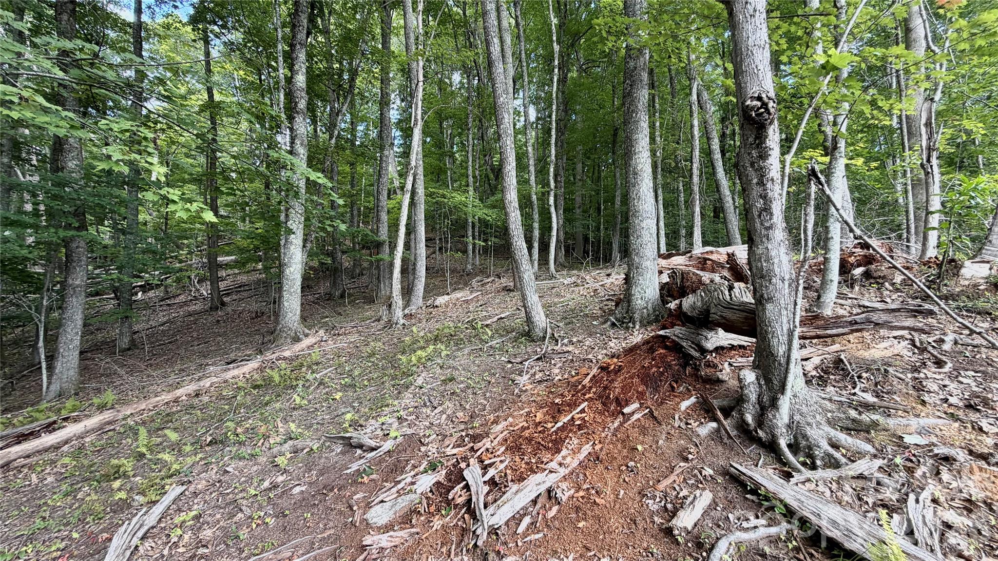 Lot at 000 Fox Den Road, Mars Hill, photo 2 of 14