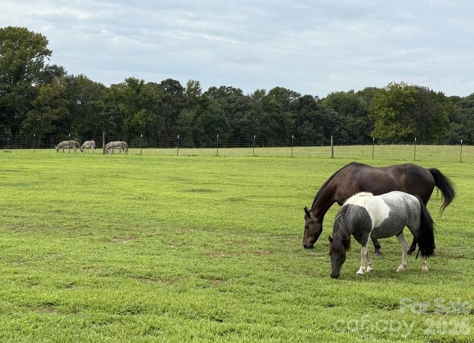 Farm at 8720 Potter Road S, Waxhaw, photo 8 of 27