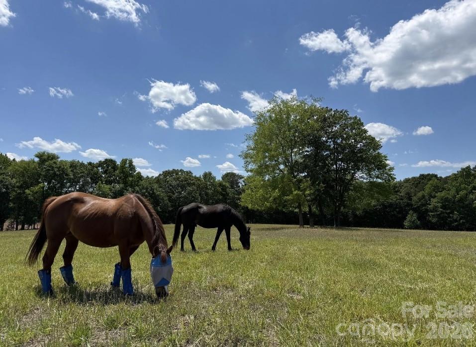 Farm at 8720 Potter Road S, Waxhaw, photo 14 of 27