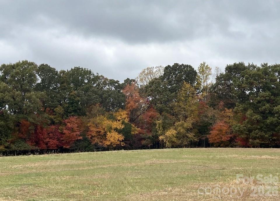 Farm at 8720 Potter Road S, Waxhaw, photo 19 of 27