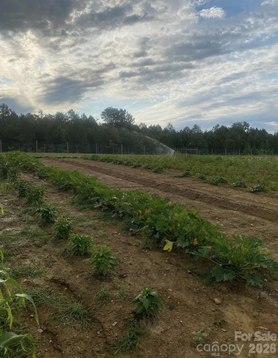 Farm at 8720 Potter Road S, Waxhaw, photo 25 of 27