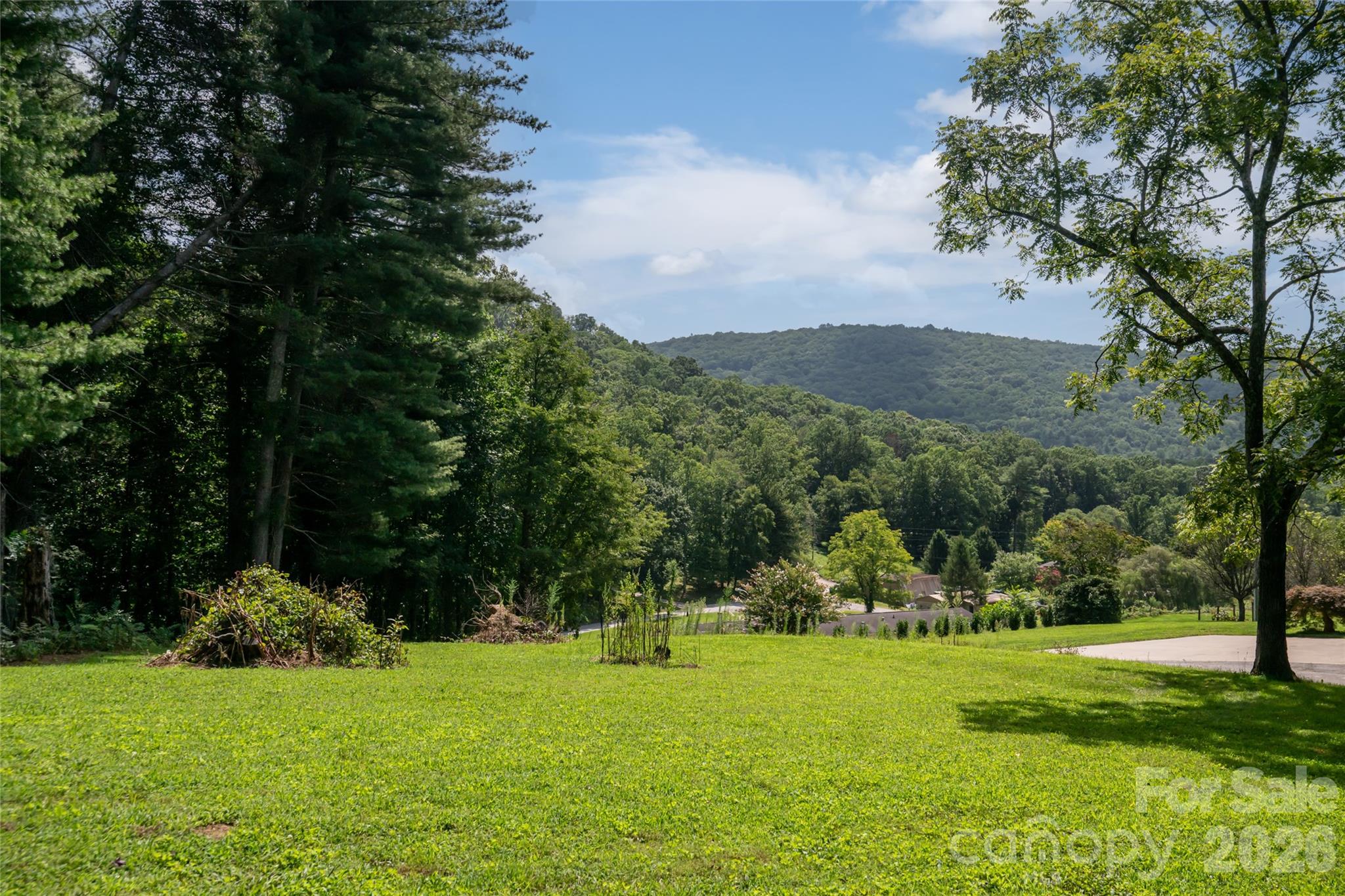 Single Family Residence at 360 Pinners Cove Road, Asheville, photo 5 of 46