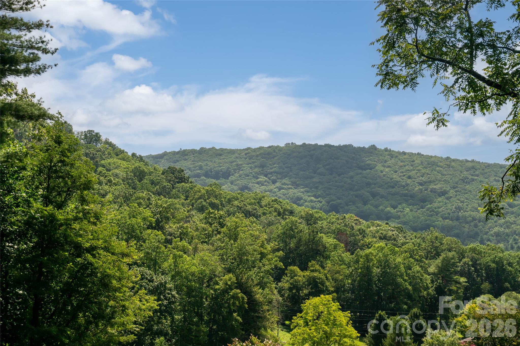Single Family Residence at 360 Pinners Cove Road, Asheville, photo 16 of 46