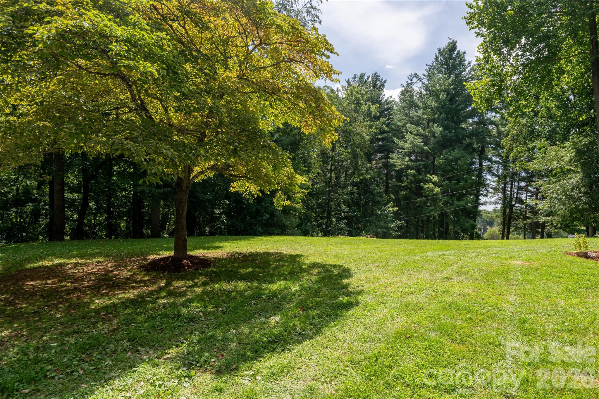 Single Family Residence at 360 Pinners Cove Road, Asheville, photo 26 of 46