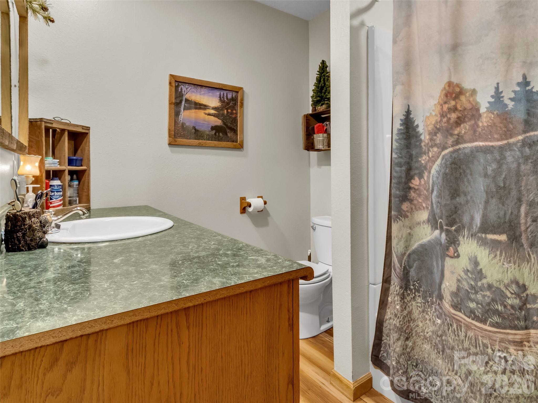 Single Family Residence at 555 Acres View Drive, Waynesville, photo 12 of 48