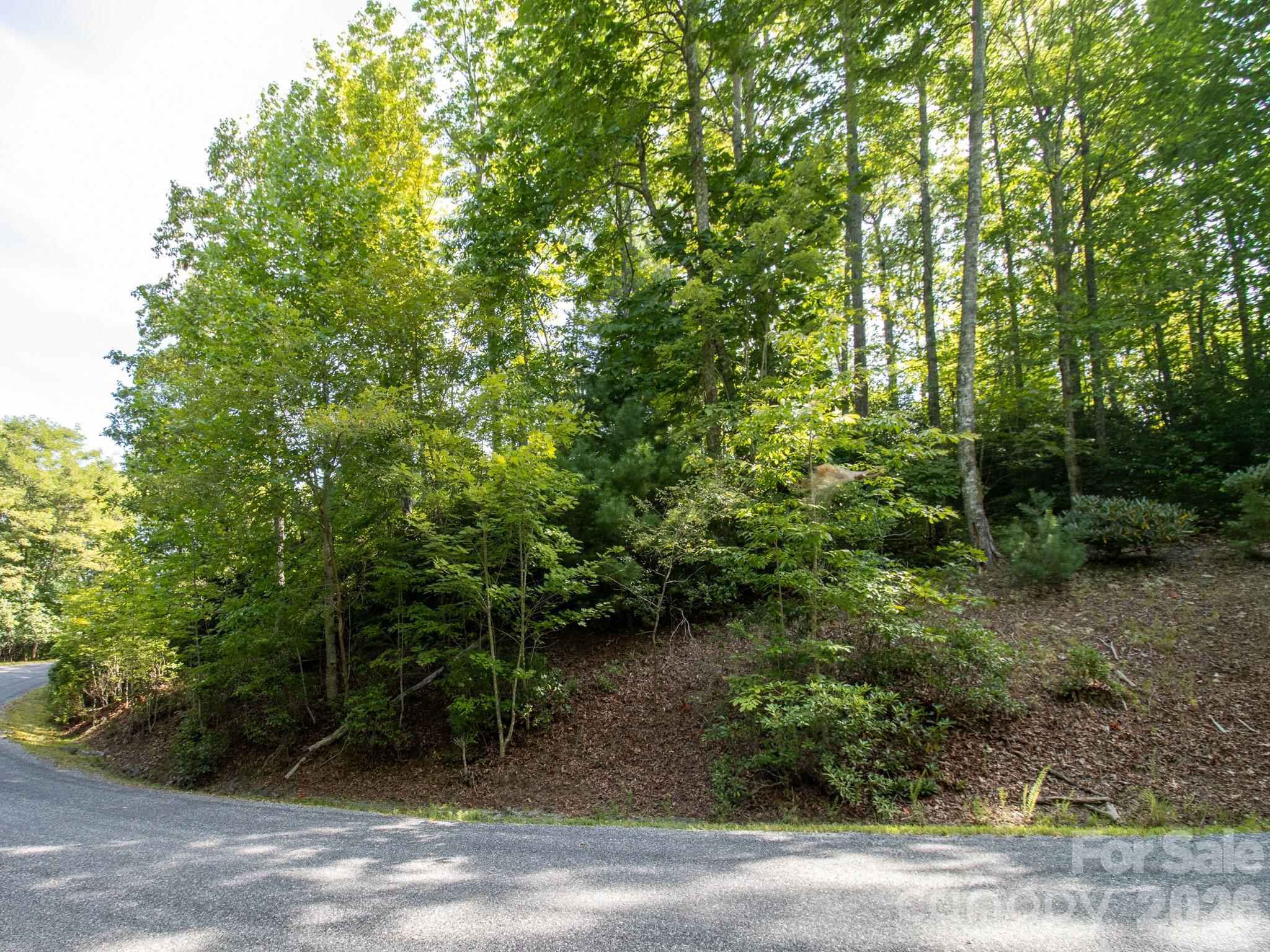 Notice the blue sky behind the trees. The property gains height above the road bed. - TBD Kelly Mountain Road, Brevard