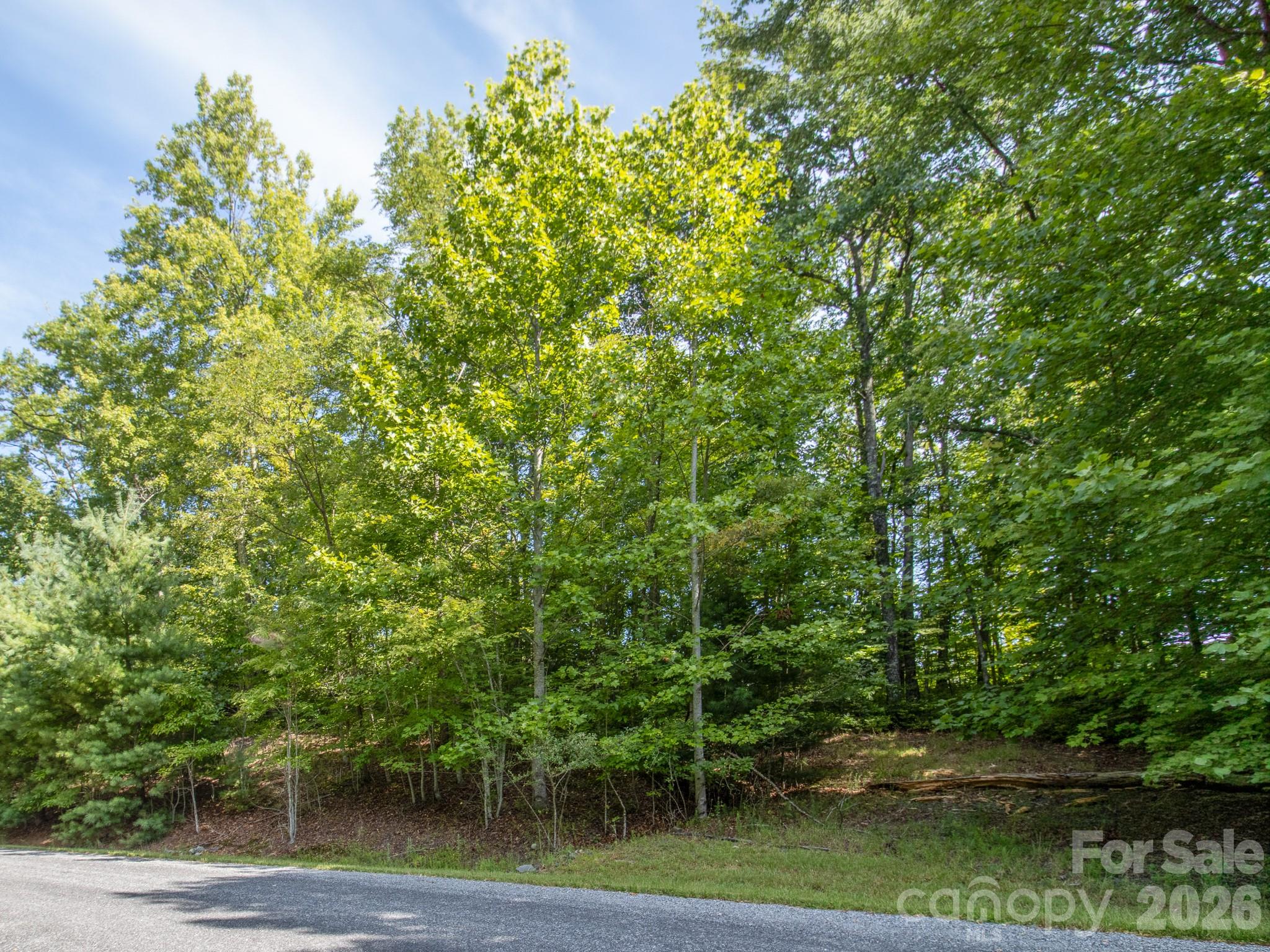 Lot at TBD Kelly Mountain Road, Brevard, photo 7 of 14