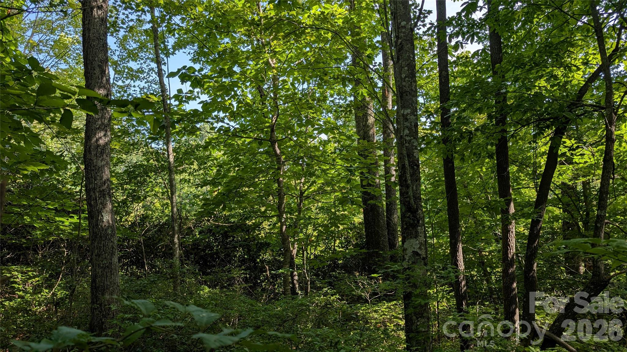 Lot at TBD Kelly Mountain Road, Brevard, photo 9 of 14