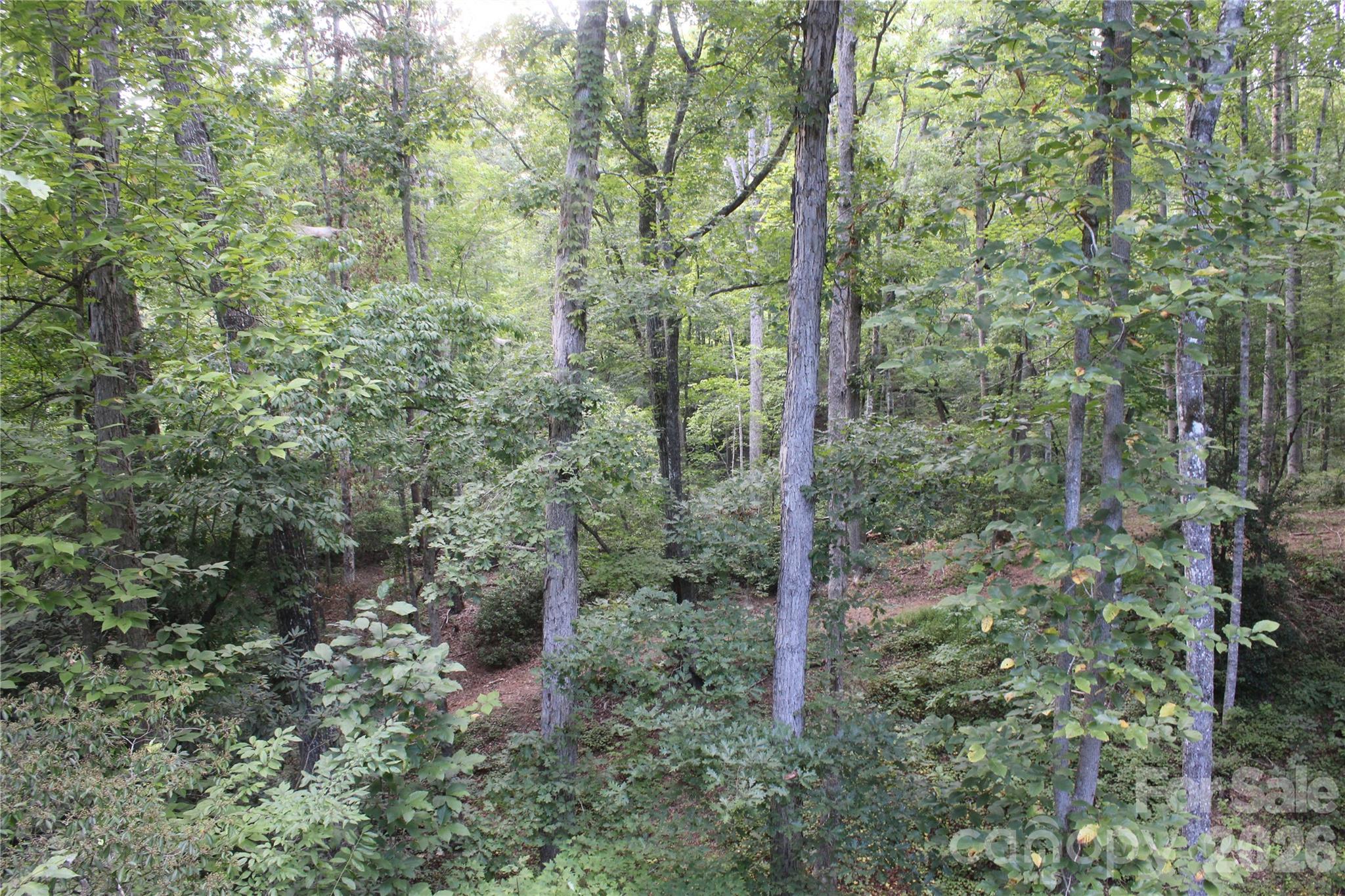 Single Family Residence at 192 Wren Drive, Rutherfordton, photo 20 of 23