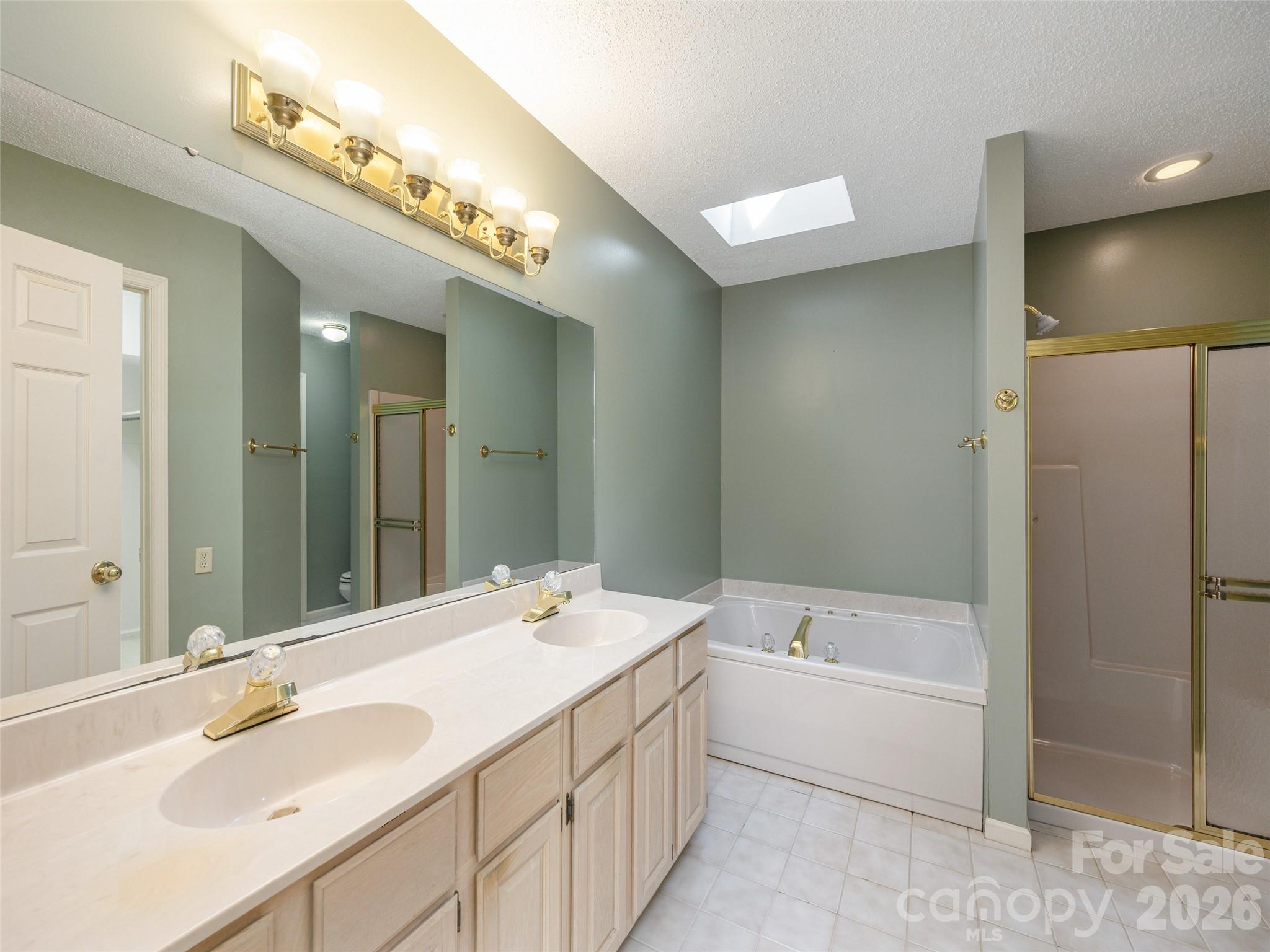 Primary Bath with Skylight - 15 Glen Crest Drive, Arden