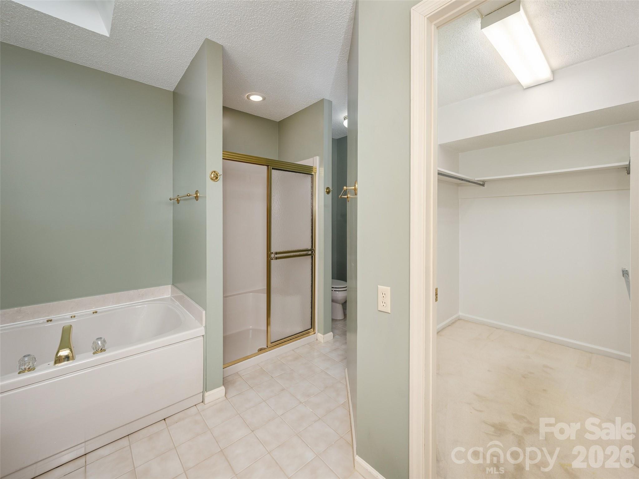 Tub, Separate Shower & Walk-in Closet - 15 Glen Crest Drive, Arden