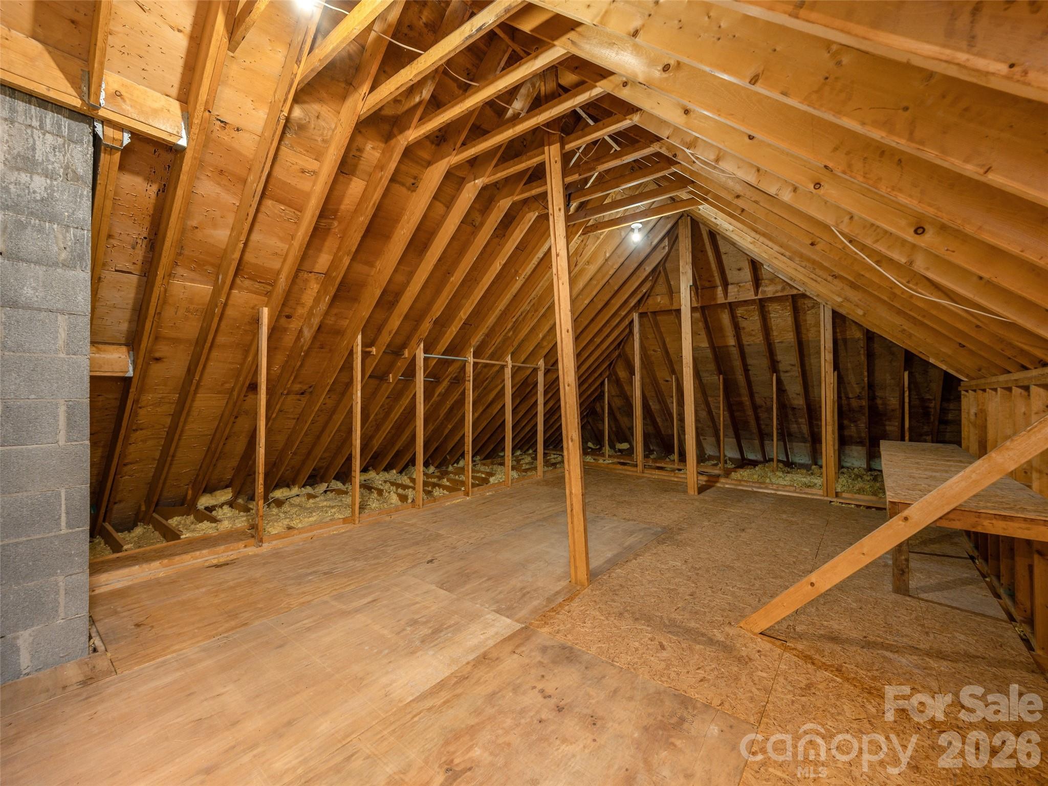 Walk in Attic offers Many Possibilities - 15 Glen Crest Drive, Arden