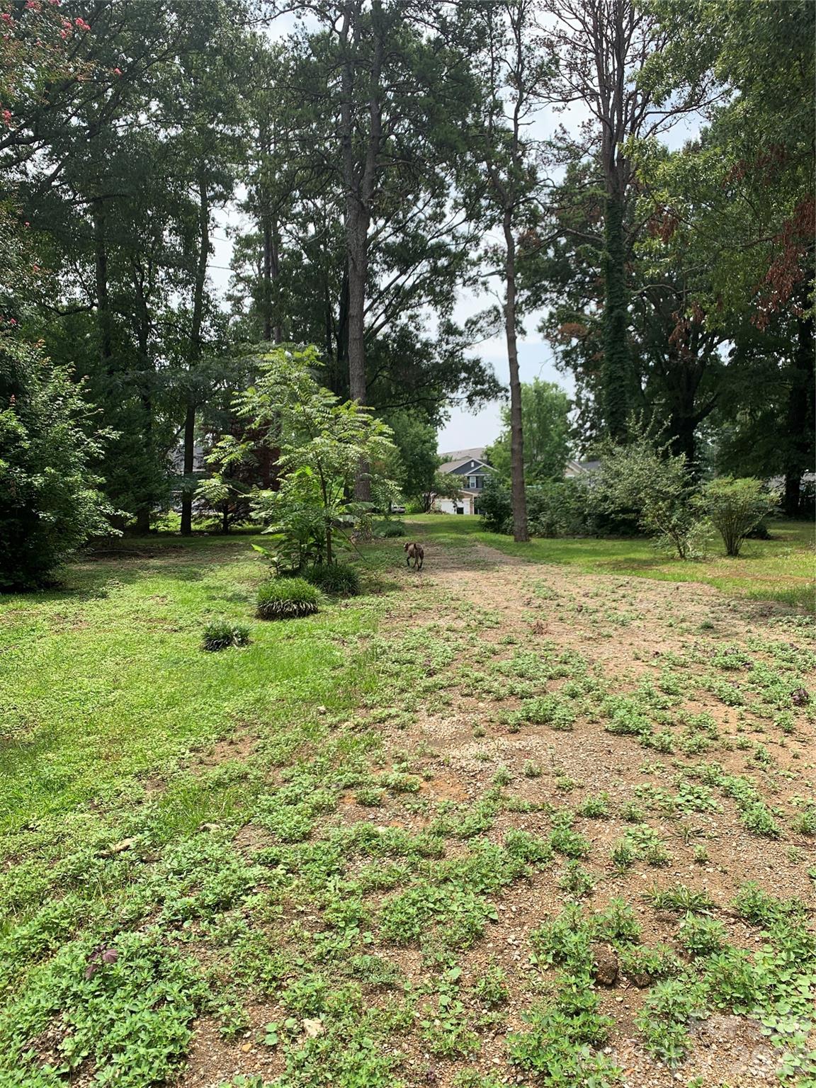 view from southwest pond corner facing south down primary Austin Circle driveway - 524 Dawn Circle, Charlotte