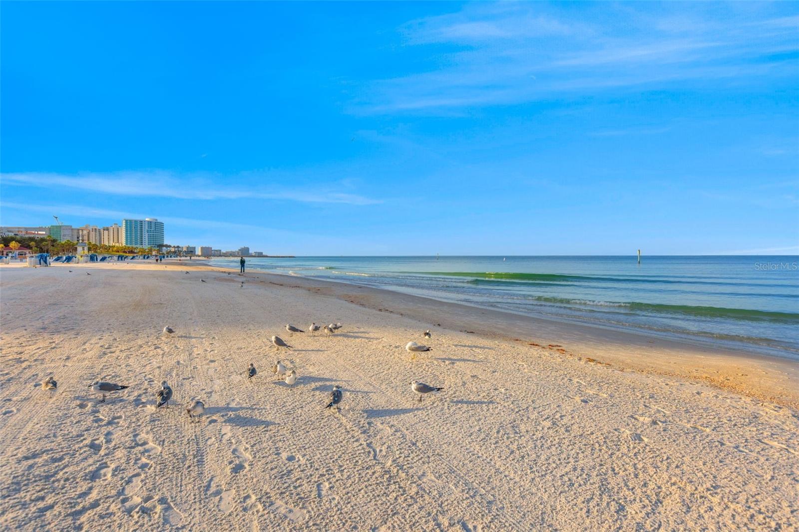 Condominium at 440 S GULFVIEW BLVD #1407, CLEARWATER, photo 40 of 42