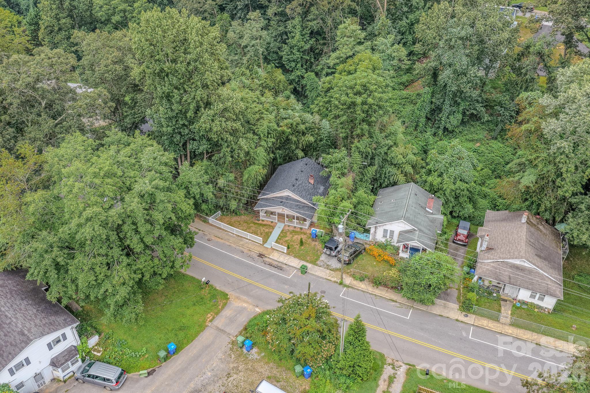 Single Family Residence at 298 State Street, Asheville, photo 8 of 33