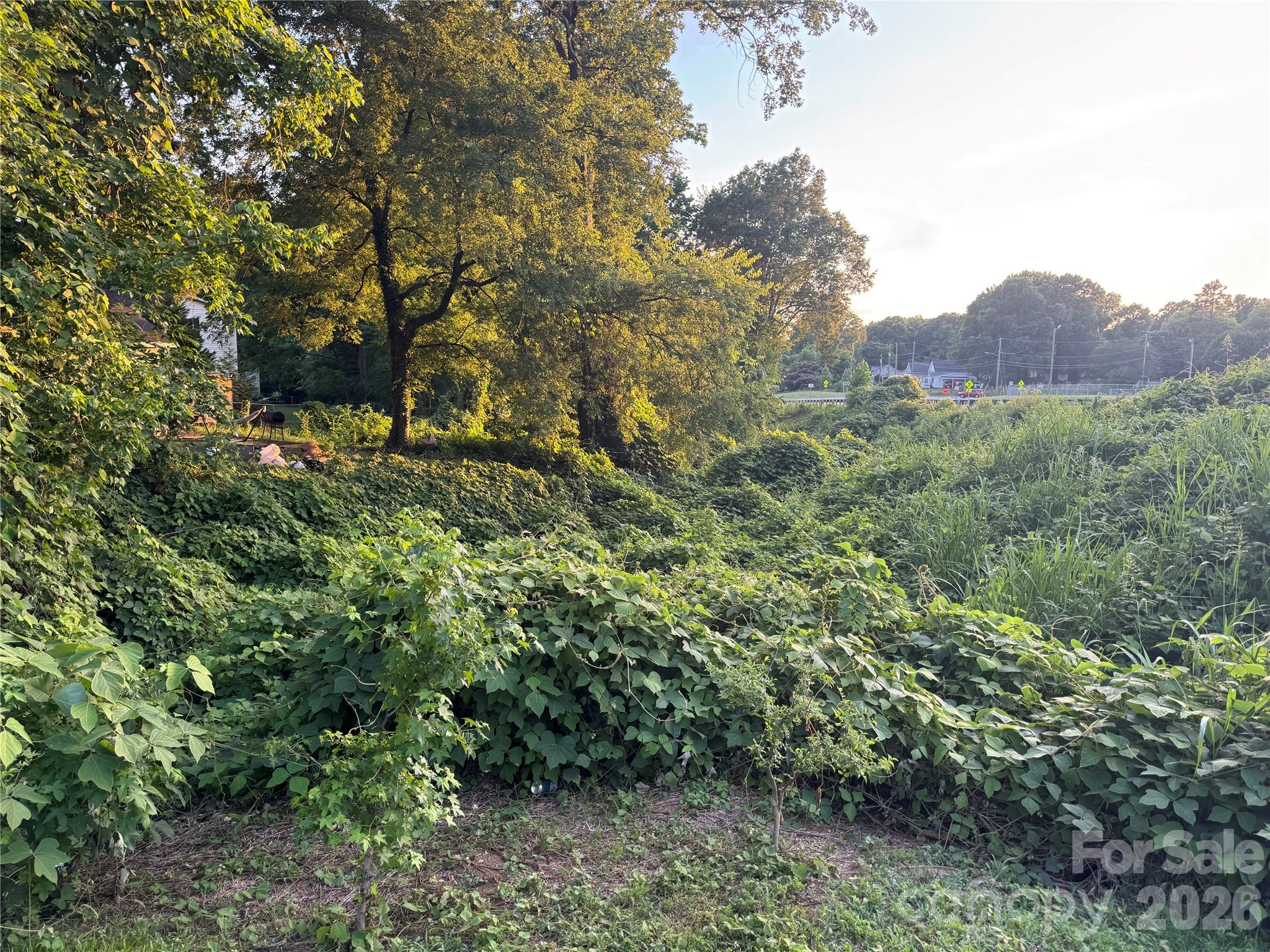 Lot at 400 Boone Avenue, Kannapolis, photo 8 of 11