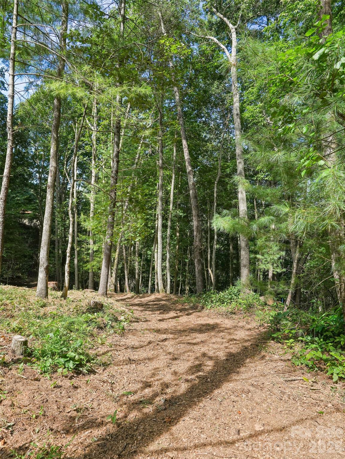 Walking Path on the property! - 11 Tahchee Trail, Fletcher