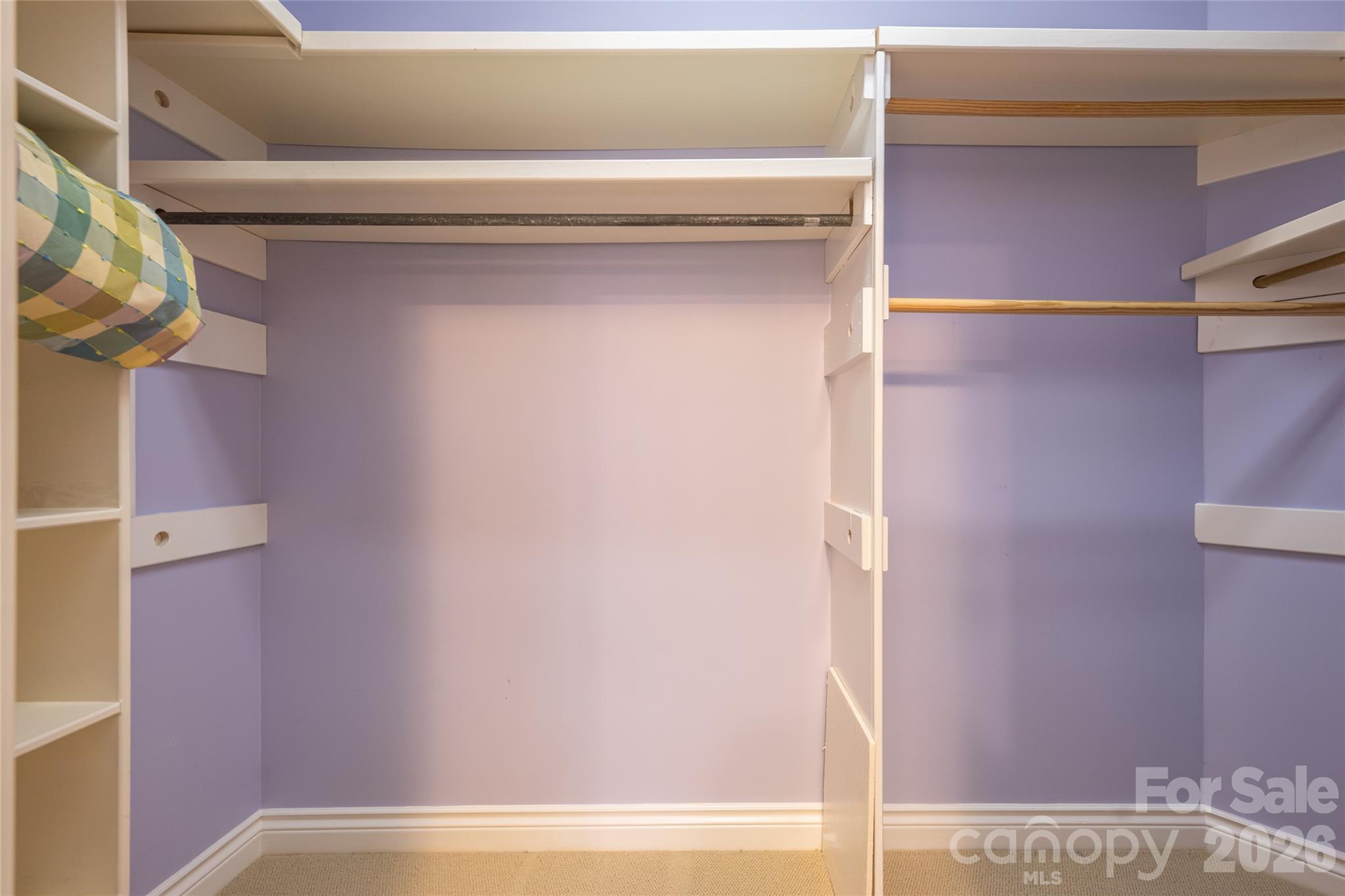 Primary Closet - 8 Clovelly Way, Asheville