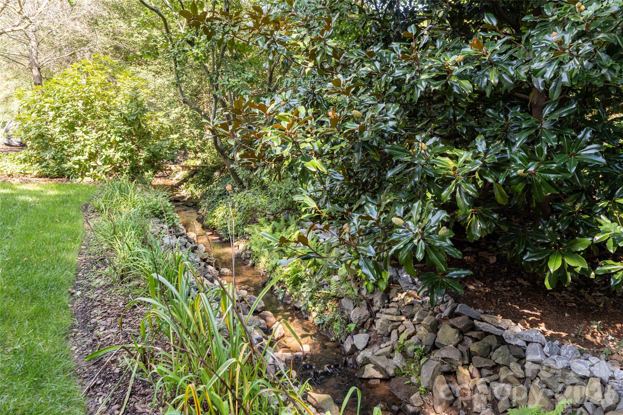 Bold creek off the back of the property - 8 Clovelly Way, Asheville