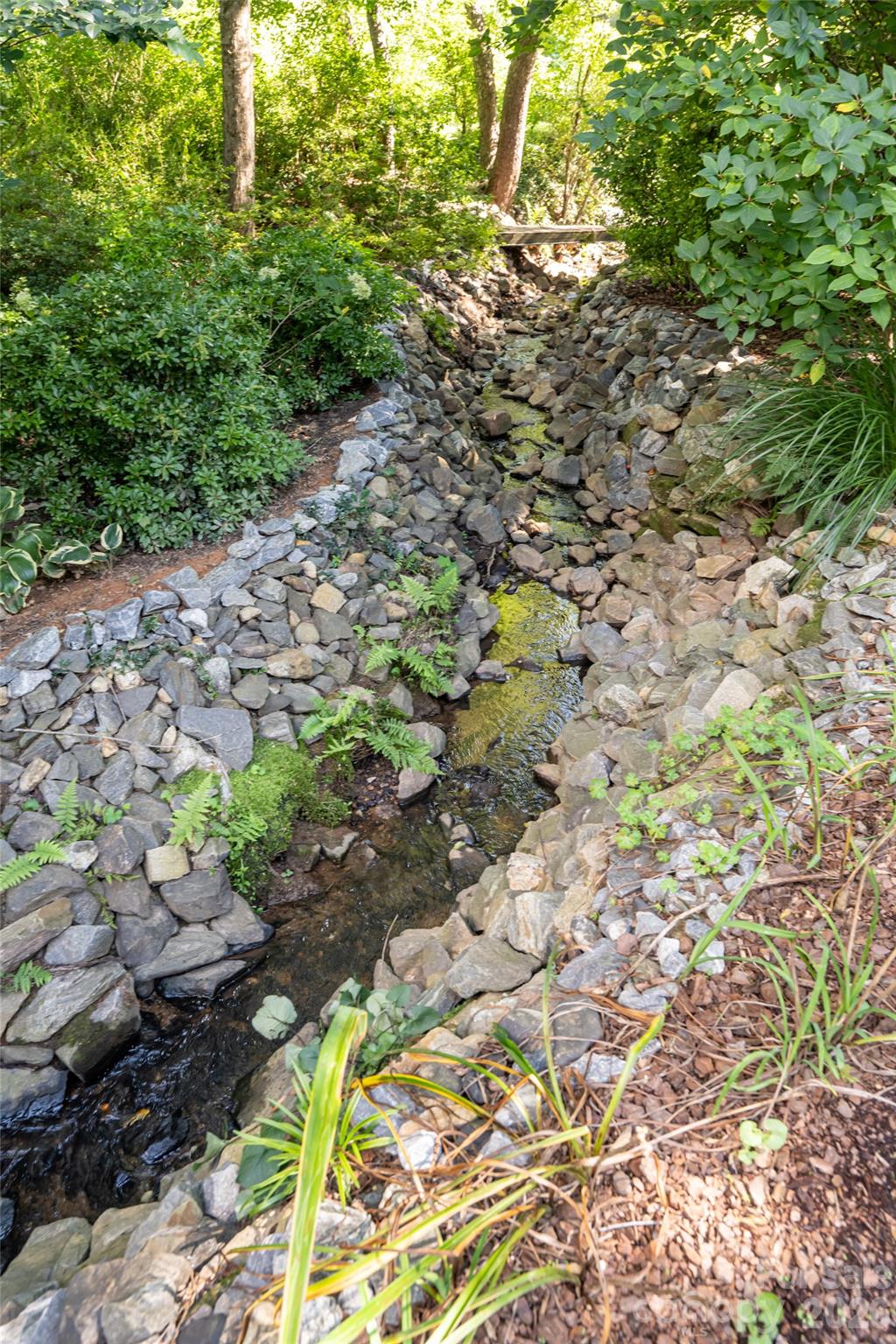 Bold creek off the back of the property - 8 Clovelly Way, Asheville