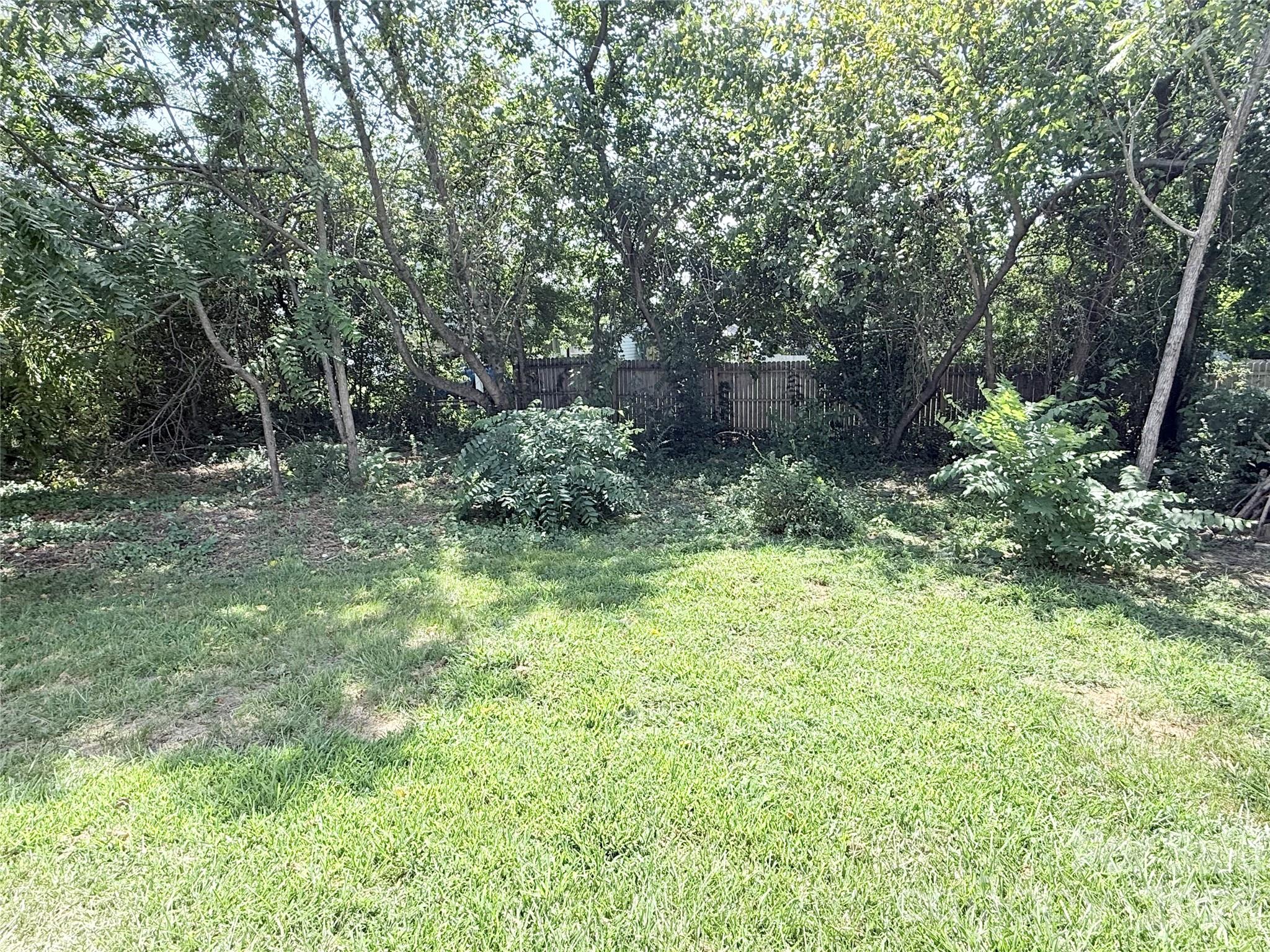Back yard - 1507 W Horah Street, Salisbury