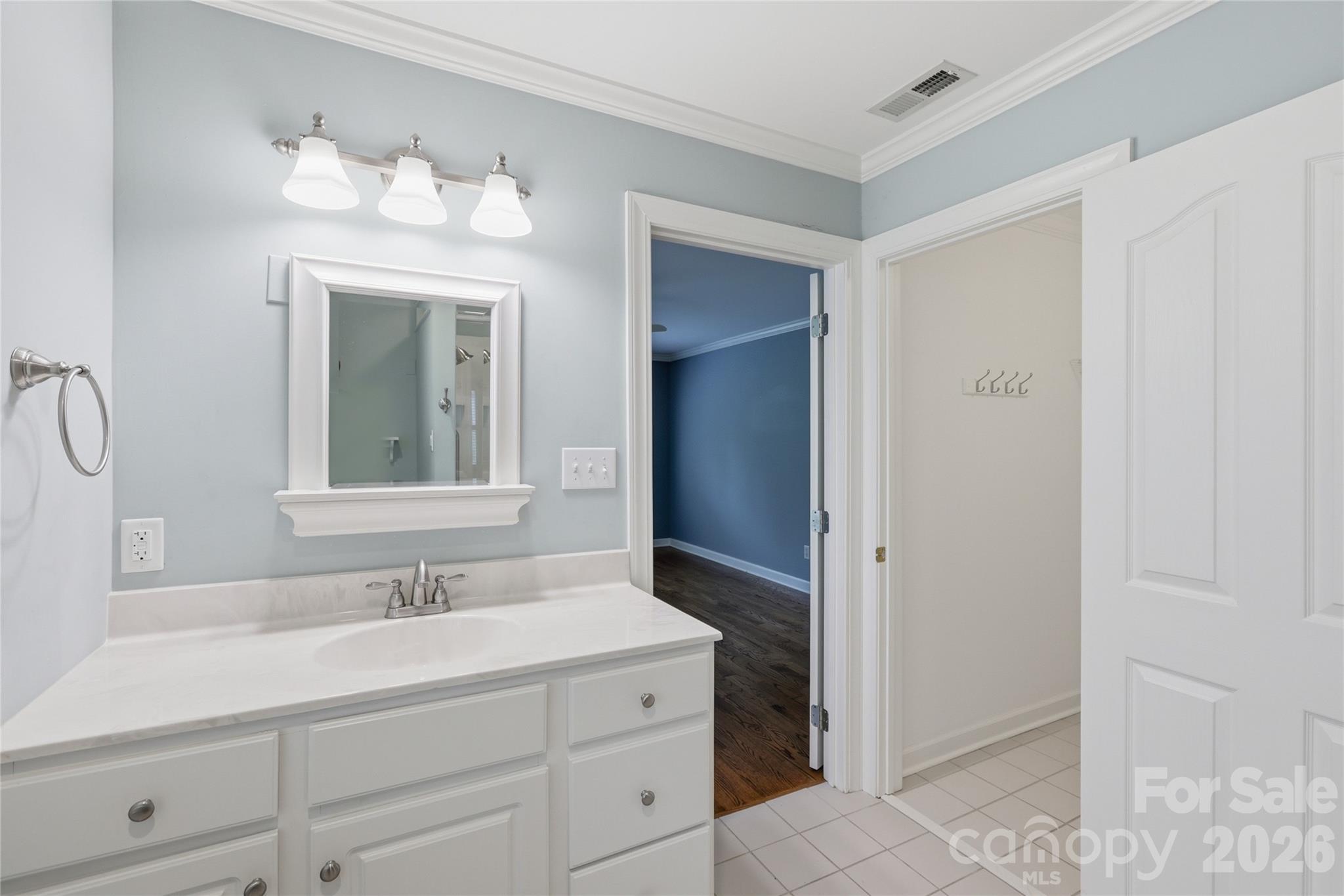 Primary vanity - 18 Creekside Way, Asheville