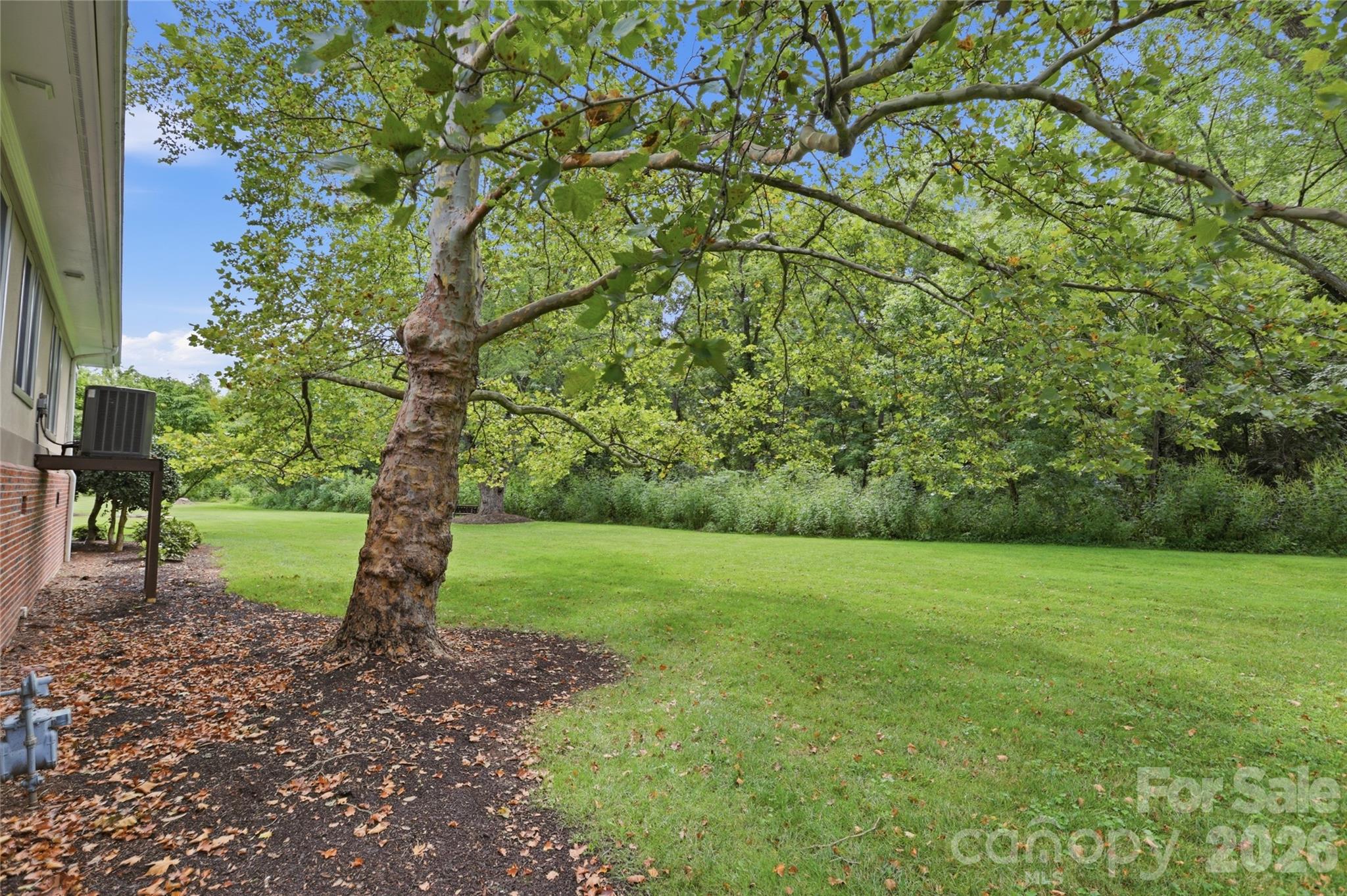 Expansive side community green area. Pet friendly. - 18 Creekside Way, Asheville