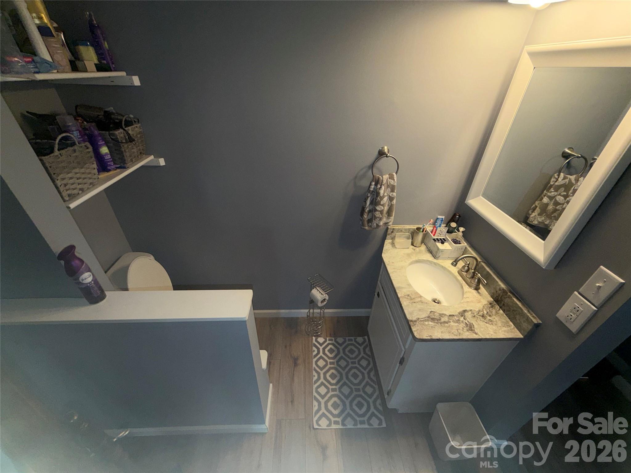 Master Bathroom toilet and sink - 1000 Beaumont Poplar Street, North Wilkesboro