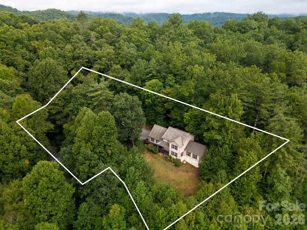 Single Family Residence at 62 Pine Hill Drive, Brevard, photo 6 of 44