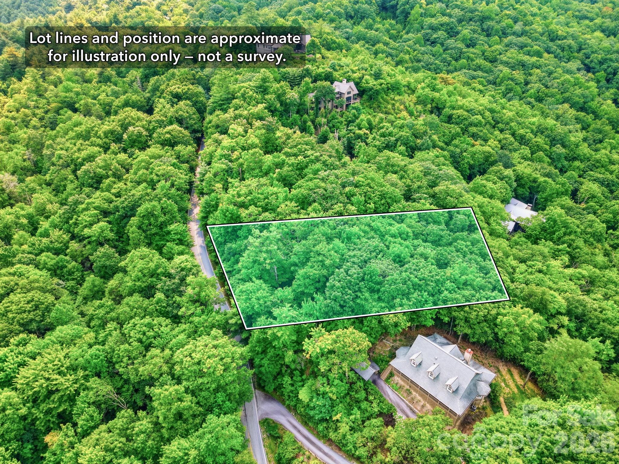 Lot at L 29 Toxaway Drive, Lake Toxaway, photo 2 of 19
