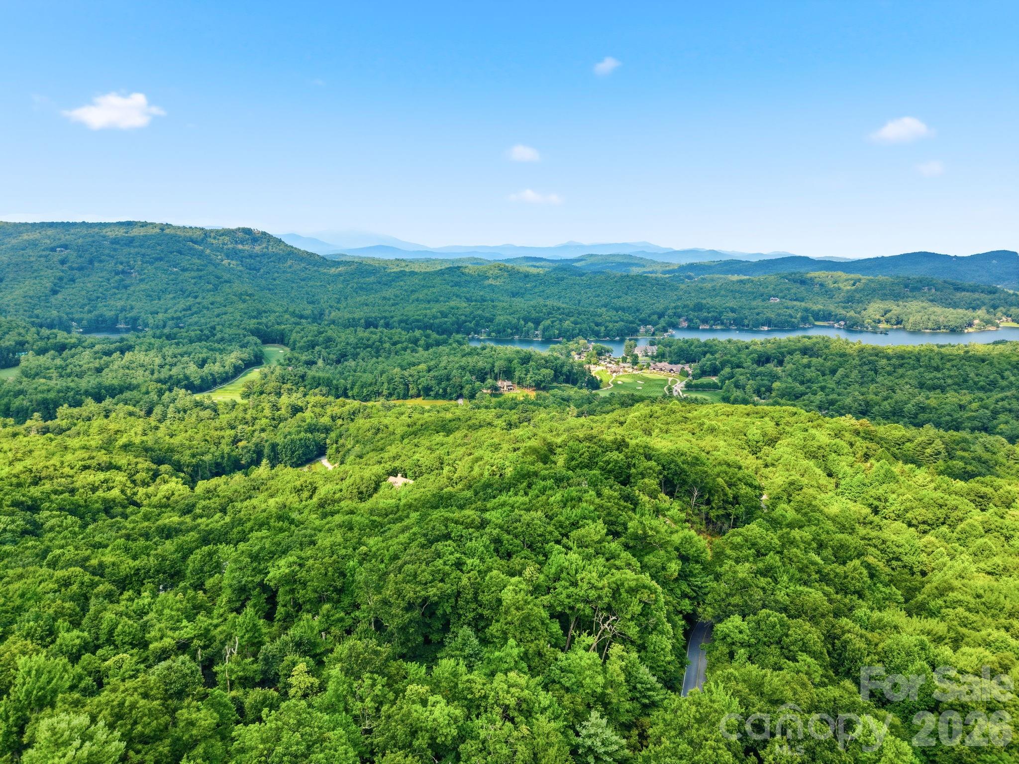 Lot at L 29 Toxaway Drive, Lake Toxaway, photo 9 of 19