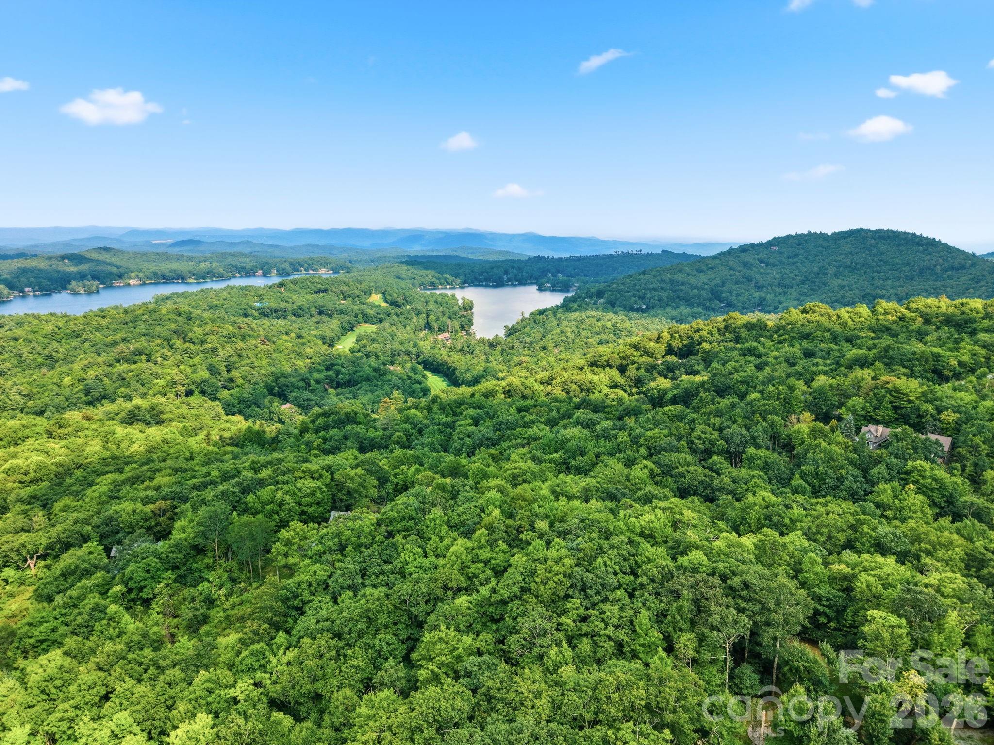 Lot at L 29 Toxaway Drive, Lake Toxaway, photo 11 of 19