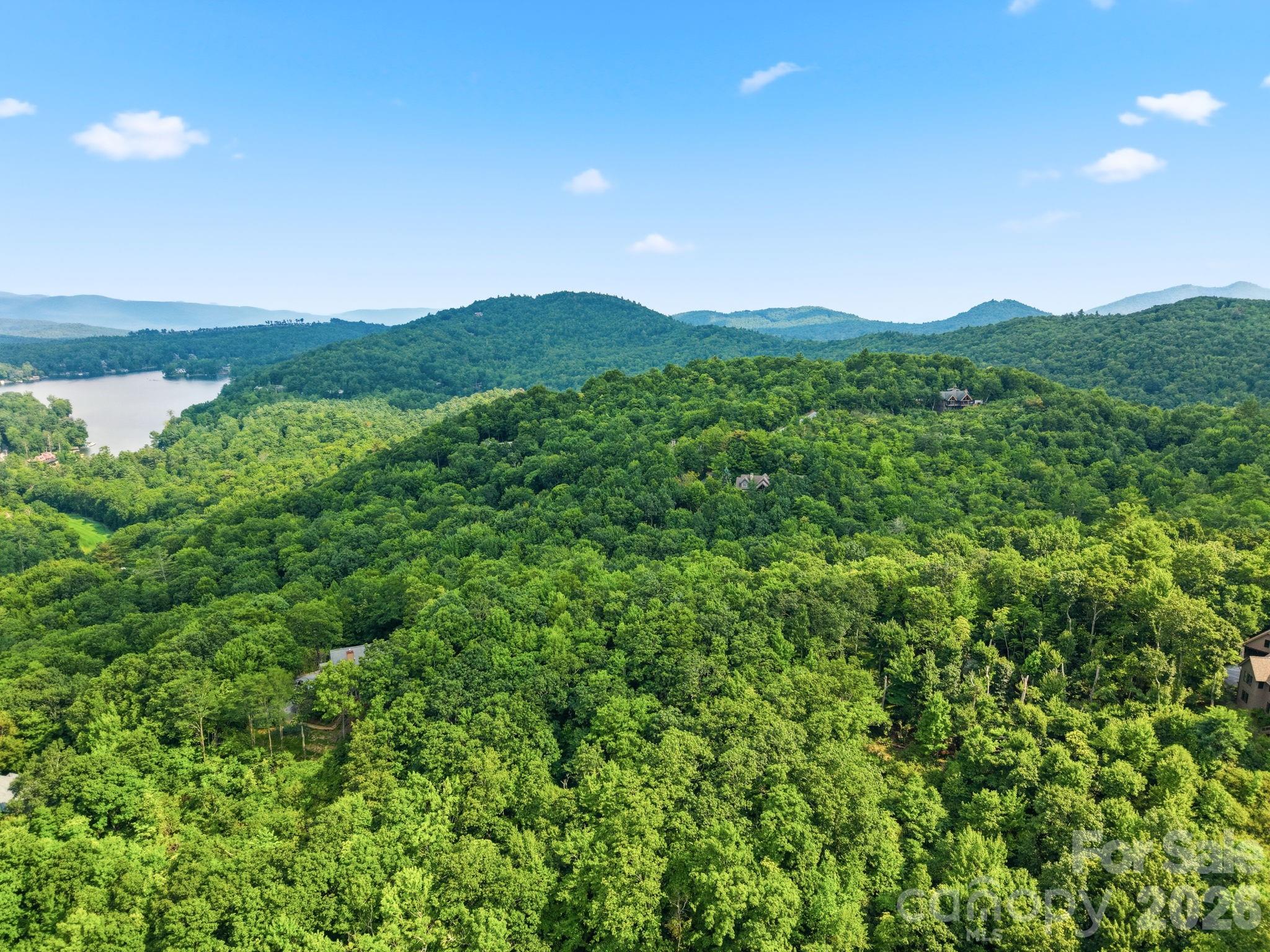 Lot at L 29 Toxaway Drive, Lake Toxaway, photo 12 of 19