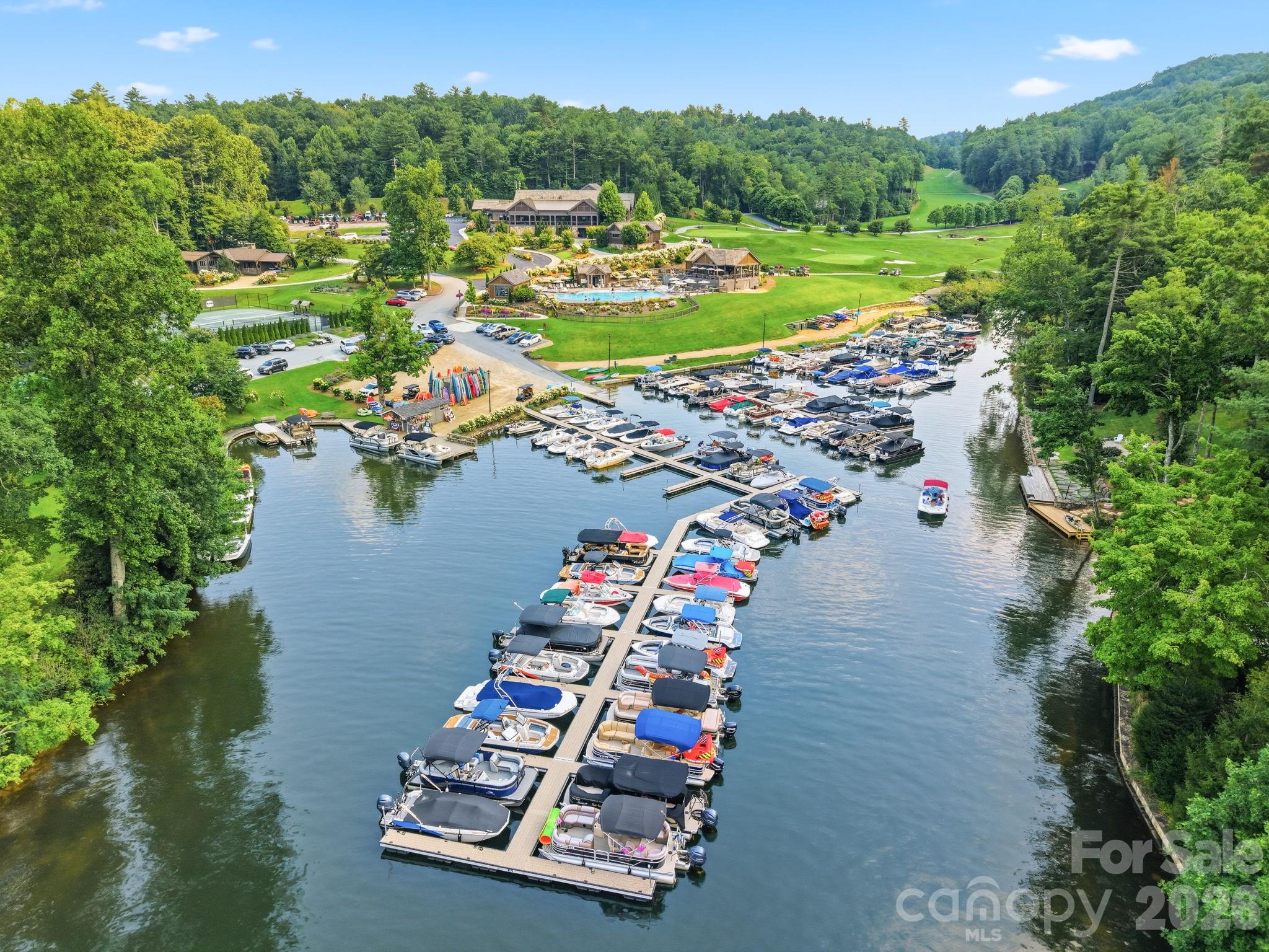 Lot at L 29 Toxaway Drive, Lake Toxaway, photo 18 of 19
