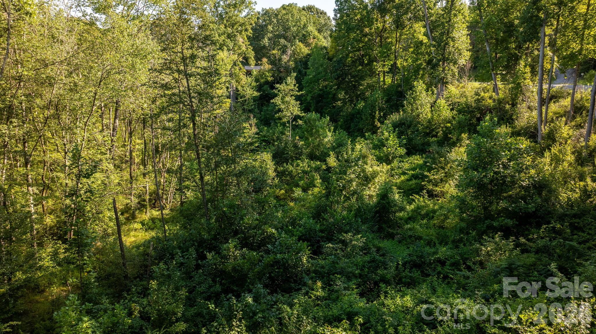 Acreage at 1776 Brown Chapel Road, Catawba, photo 33 of 33