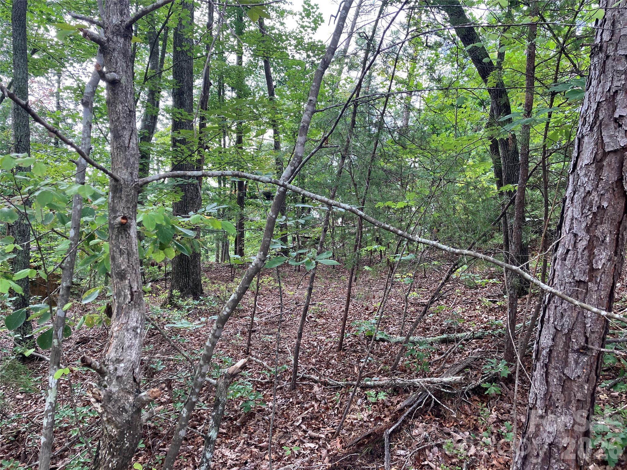 Lot at 00 Tyler Terrace, Rutherfordton, photo 3 of 17