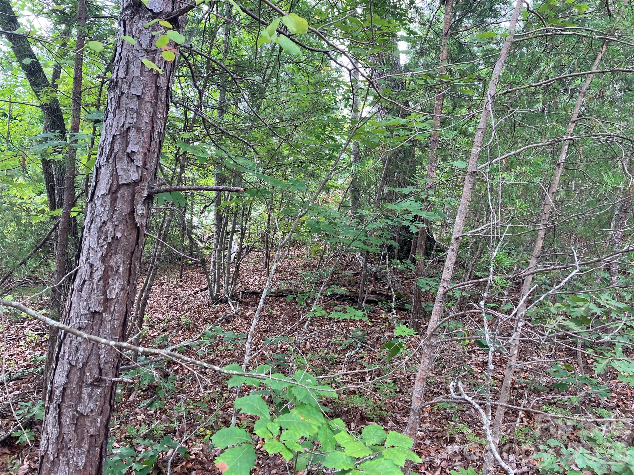 Lot at 00 Tyler Terrace, Rutherfordton, photo 4 of 17