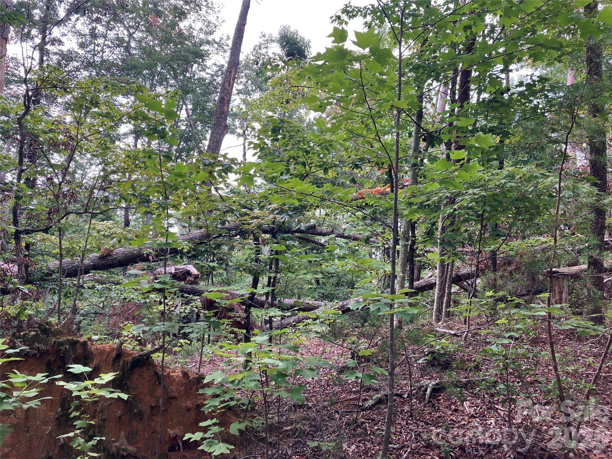 Lot at 00 Tyler Terrace, Rutherfordton, photo 5 of 17
