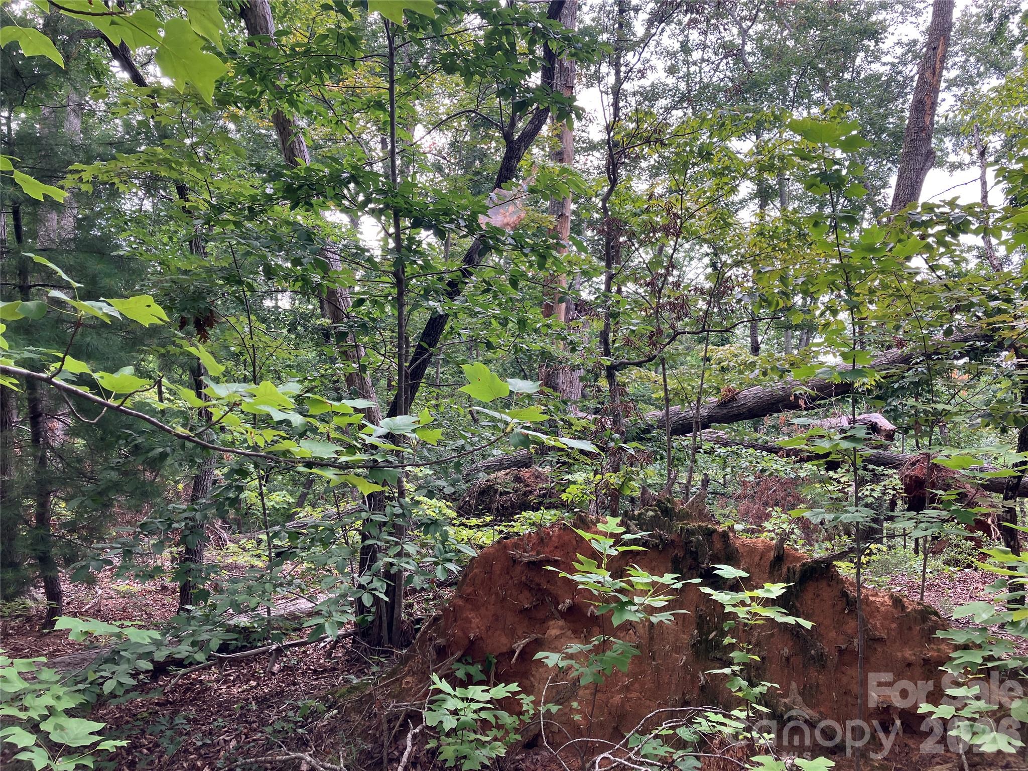 Lot at 00 Tyler Terrace, Rutherfordton, photo 6 of 17