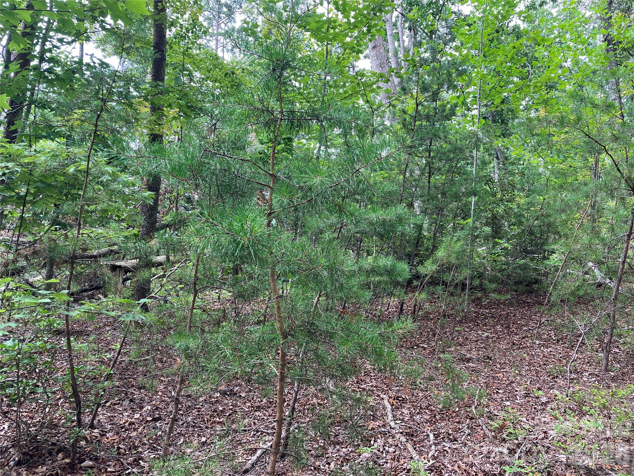 Lot at 00 Tyler Terrace, Rutherfordton, photo 7 of 17