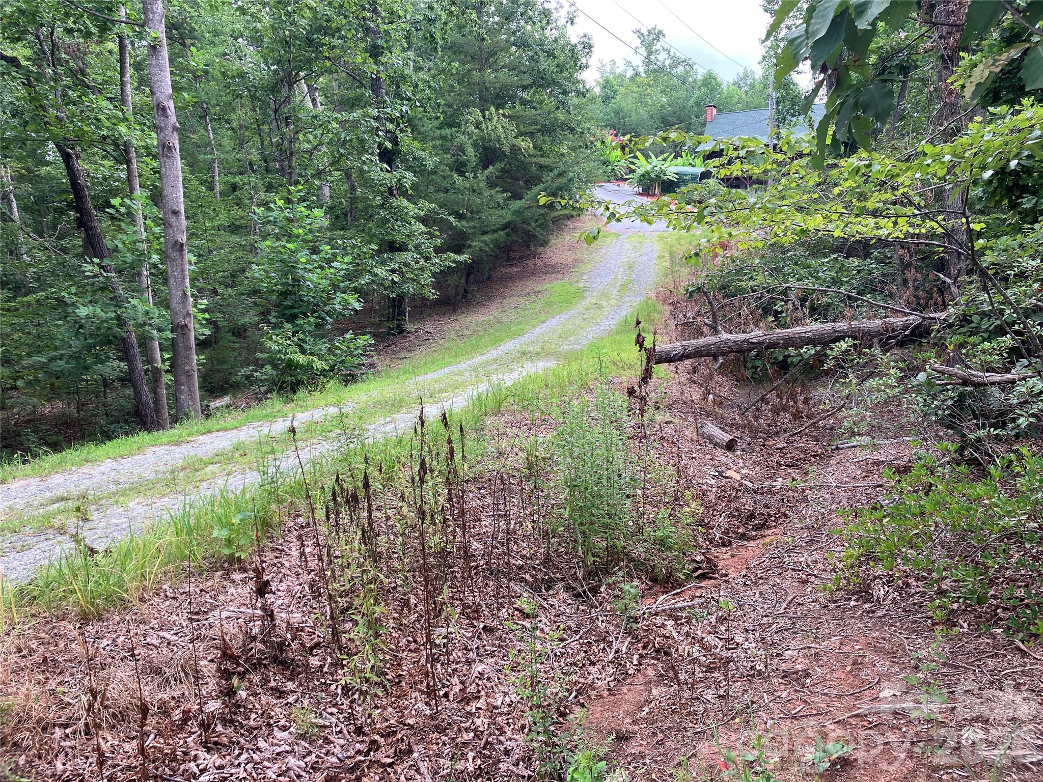Lot at 00 Tyler Terrace, Rutherfordton, photo 8 of 17