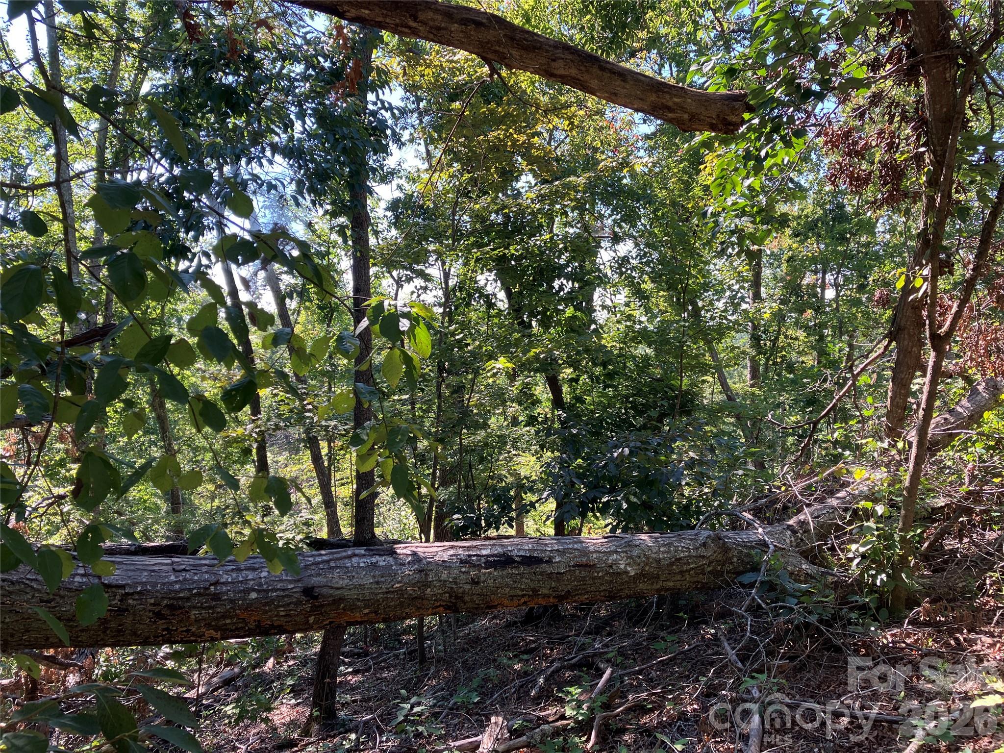 Lot at 00 Tyler Terrace, Rutherfordton, photo 9 of 17
