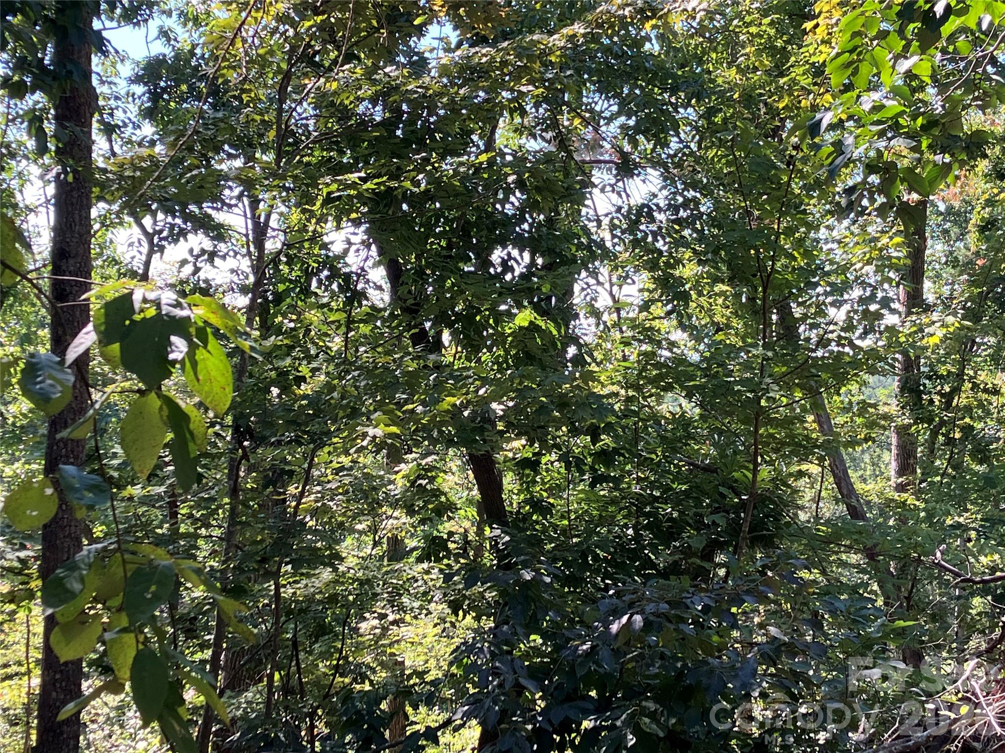Lot at 00 Tyler Terrace, Rutherfordton, photo 10 of 17
